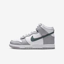 Nike Dunk High