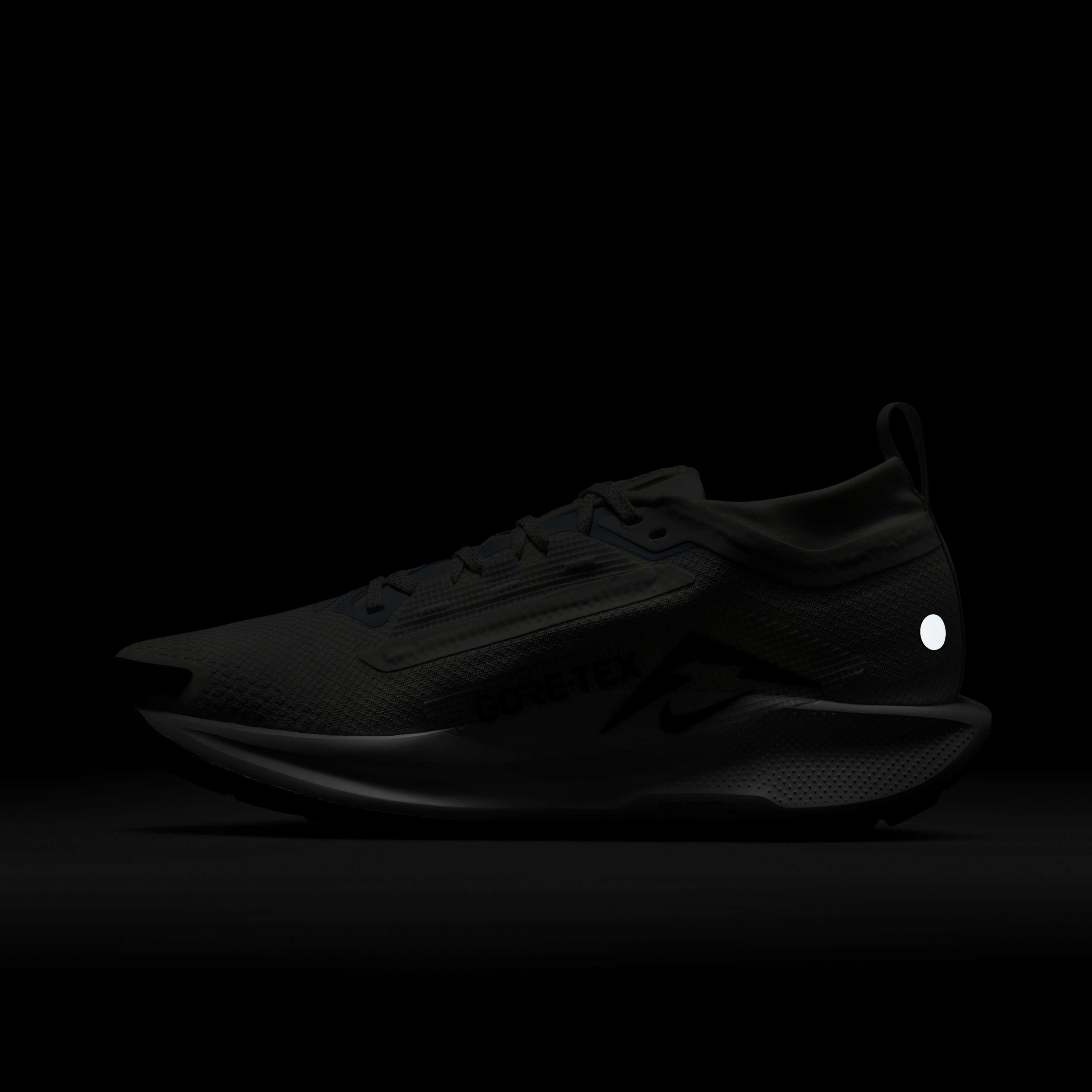 Nike Pegasus Trail 5 GORE-TEX image number 9