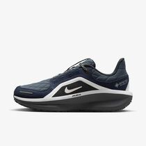 Nike Winflo 11 GORE-TEX