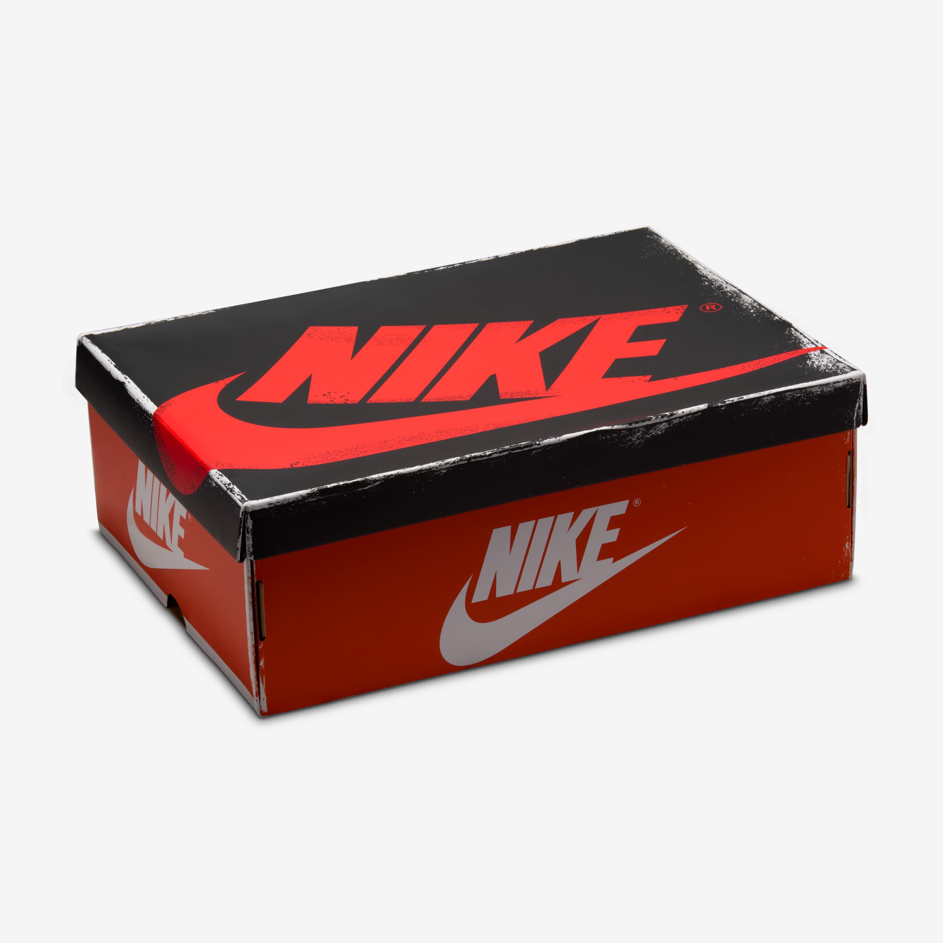 Air Jordan 1 Retro High OG image number 8