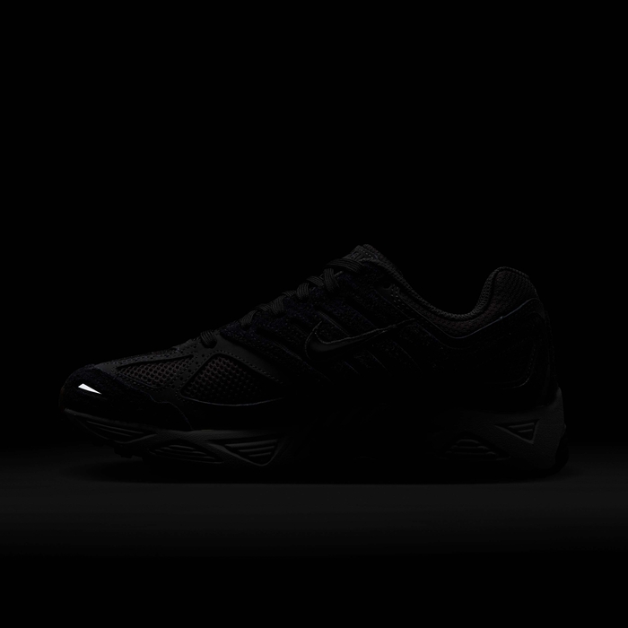 نايكي اير بيجاسوس 2005 image number 10 نايكي اير بيجاسوس 2005 image number 10