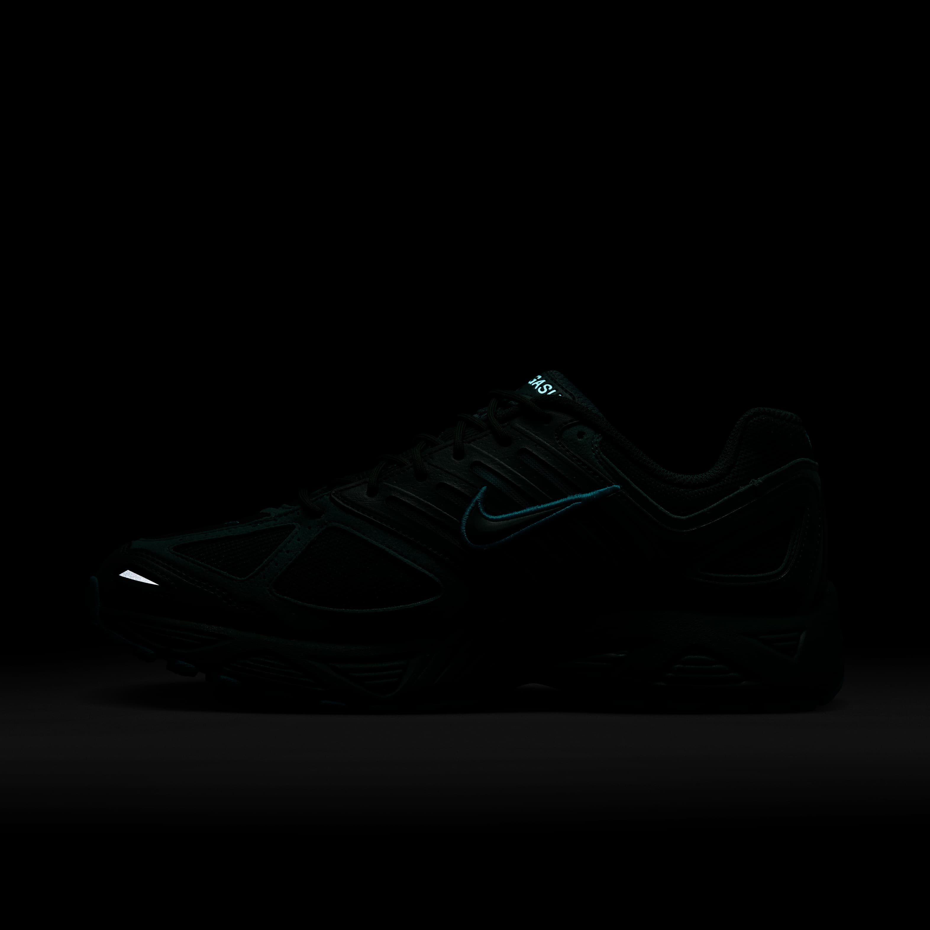 نايكي اير بيجاسوس 2005 image number 11