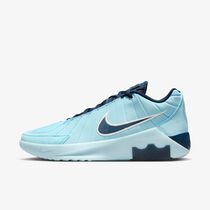 LeBron Witness 9