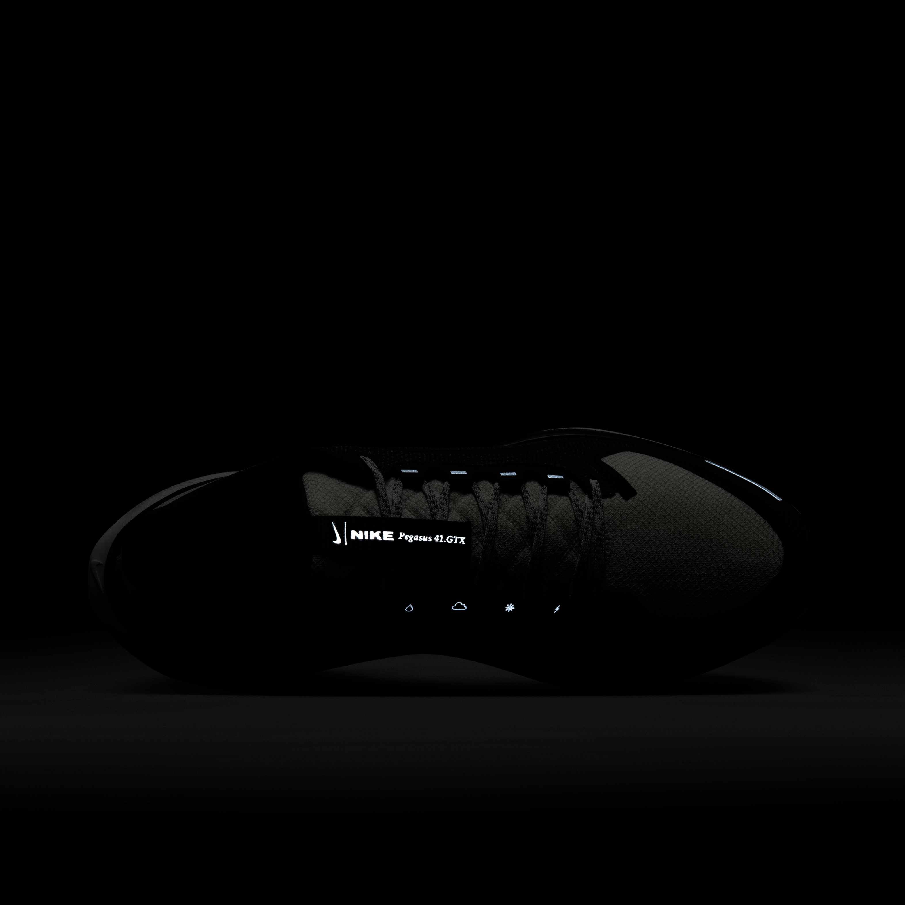 نايكي بيجاسوس 41 جور-تكس image number 8