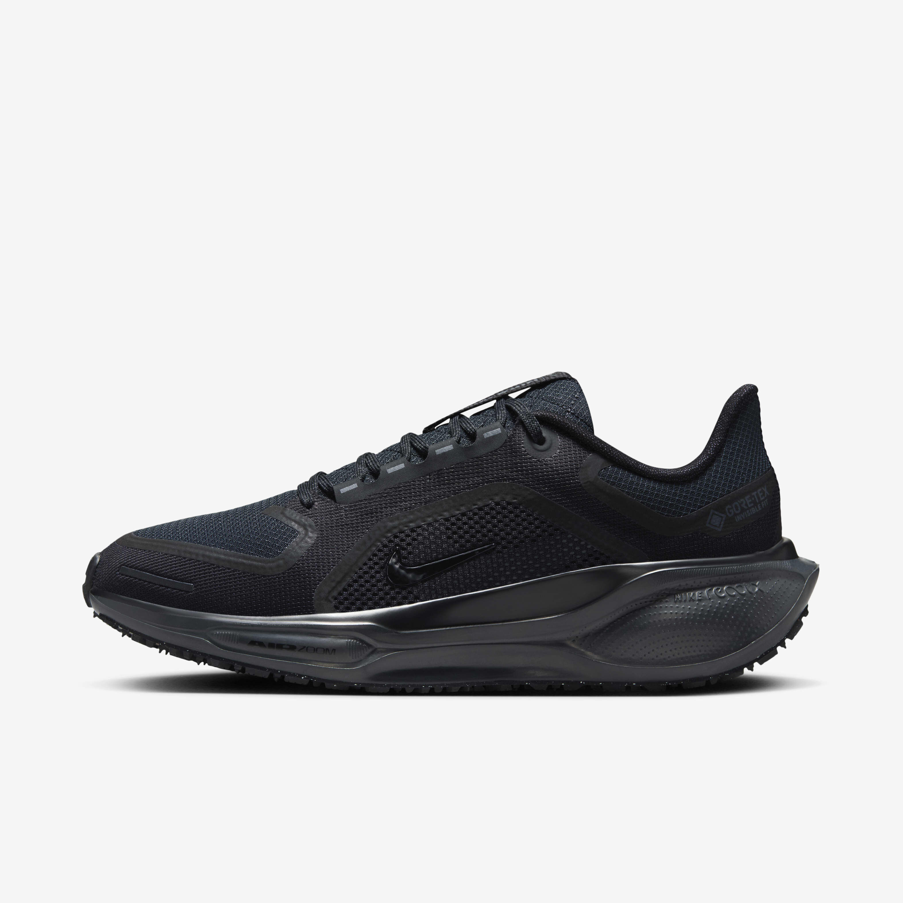 Nike Pegasus 41 GORE-TEX image number 0