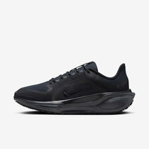 Nike Pegasus 41 GORE-TEX