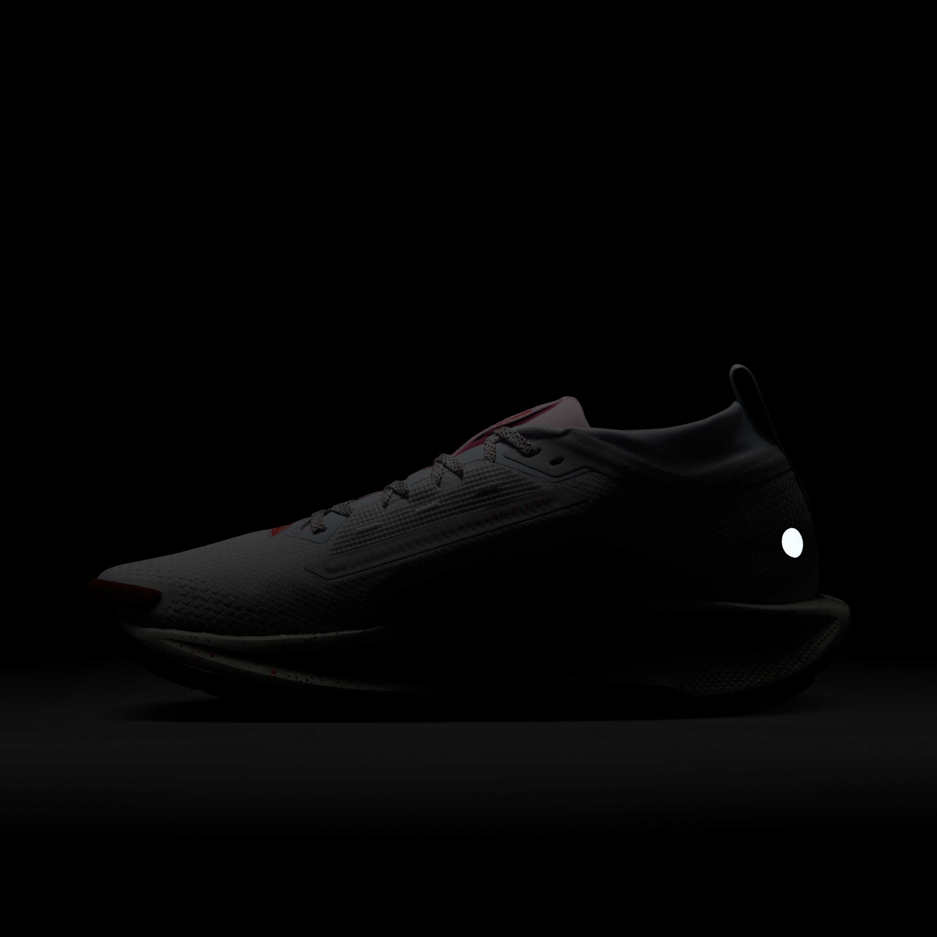 Nike Pegasus Trail 5 GORE-TEX image number 10
