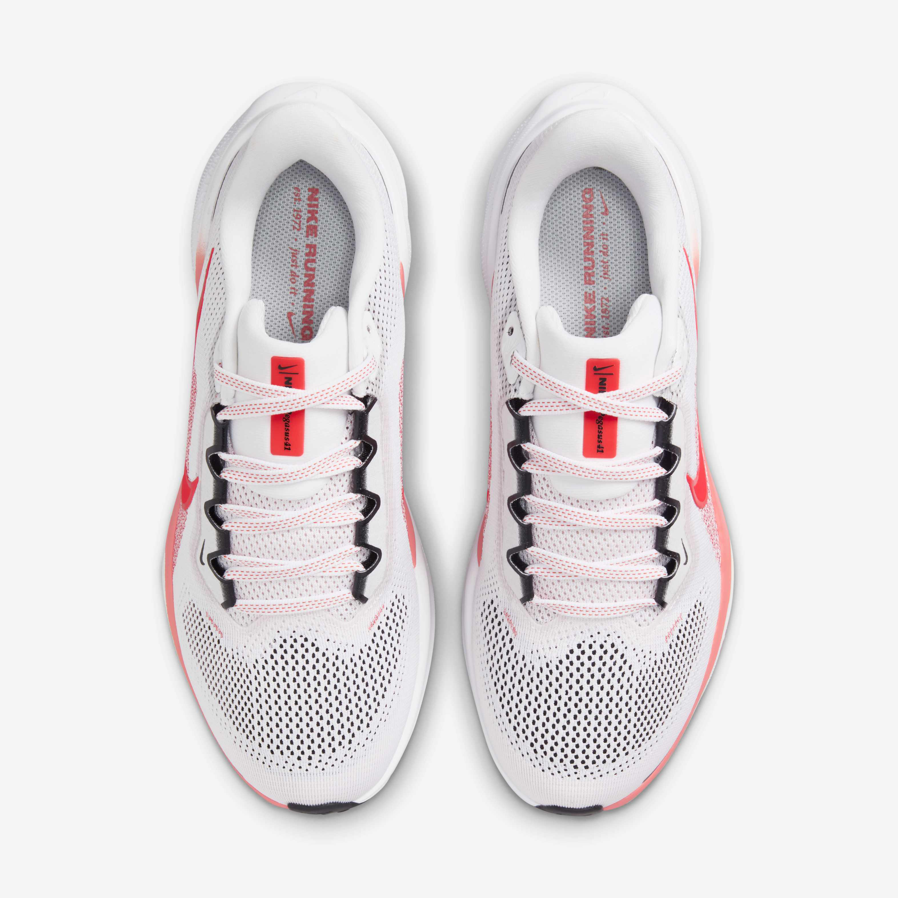 نايكي بيجاسوس 41 image number 3