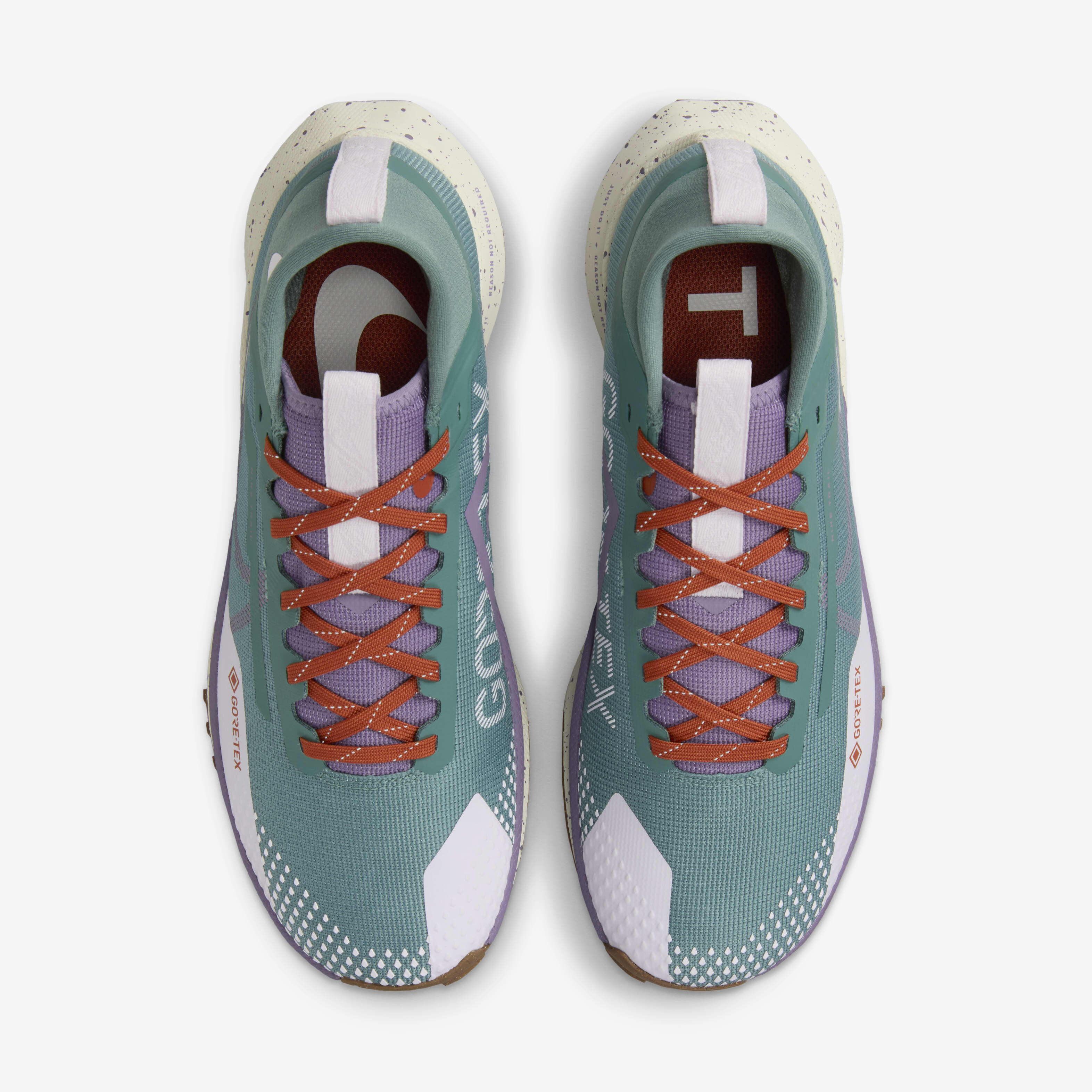 نايكي بيجاسوس تريل 4 جور-تكس image number 3