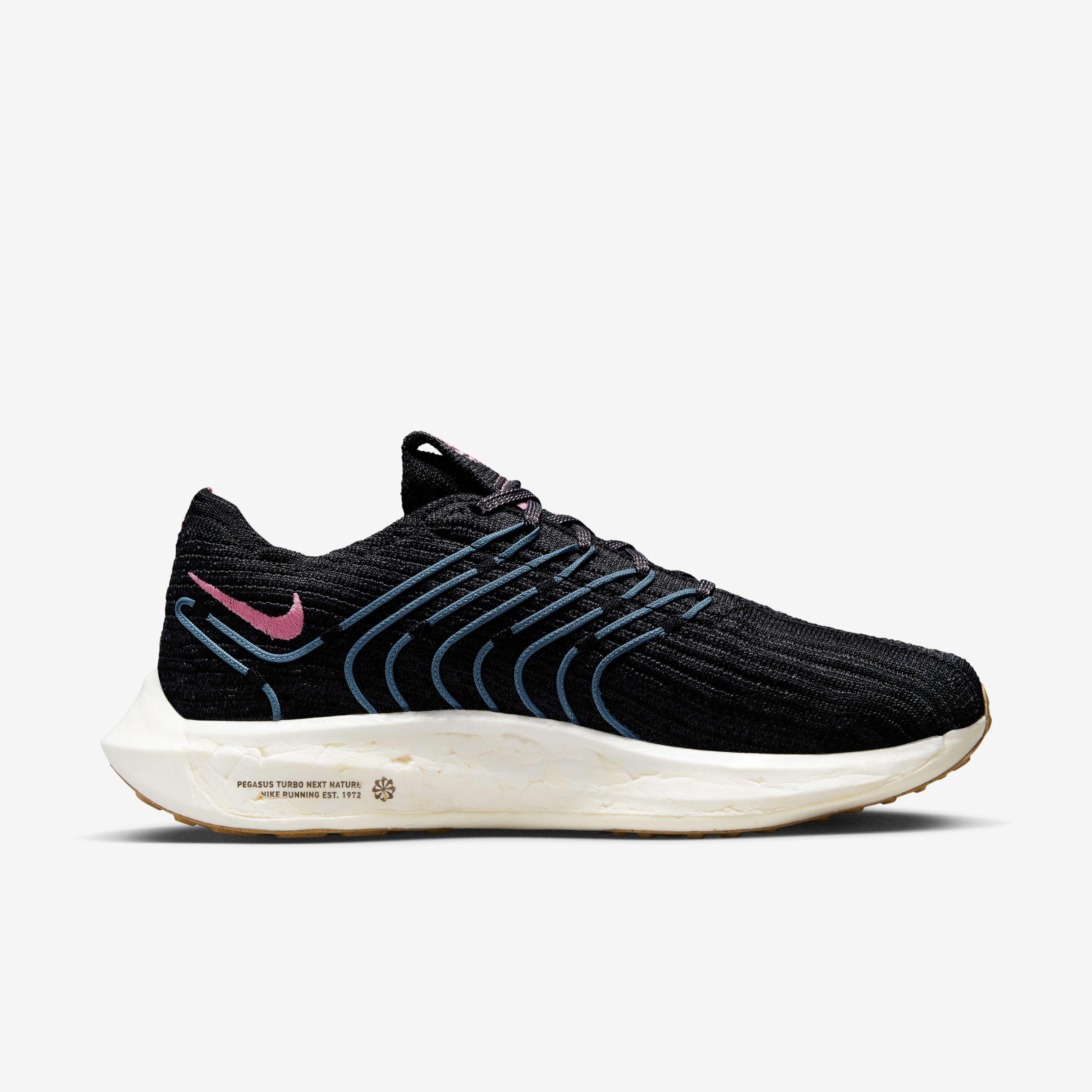 Pegasus turbo fit online