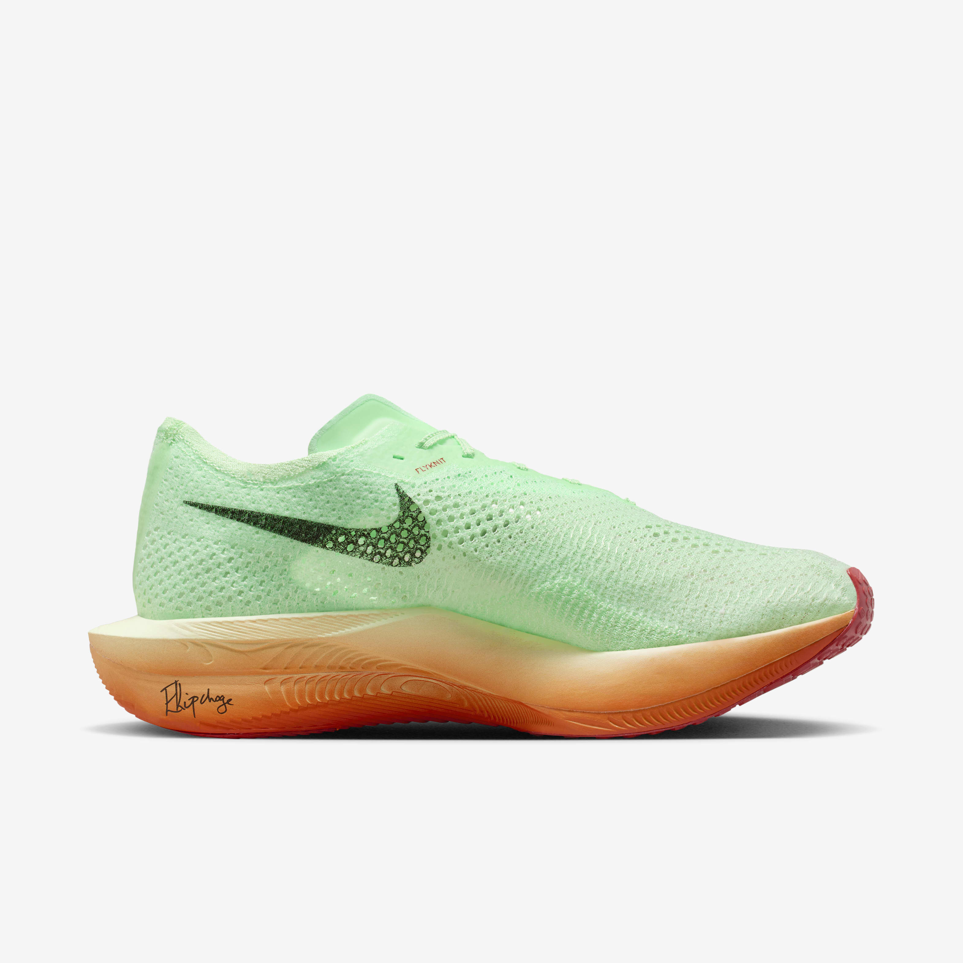 Nike eliud kipchoge shoes online