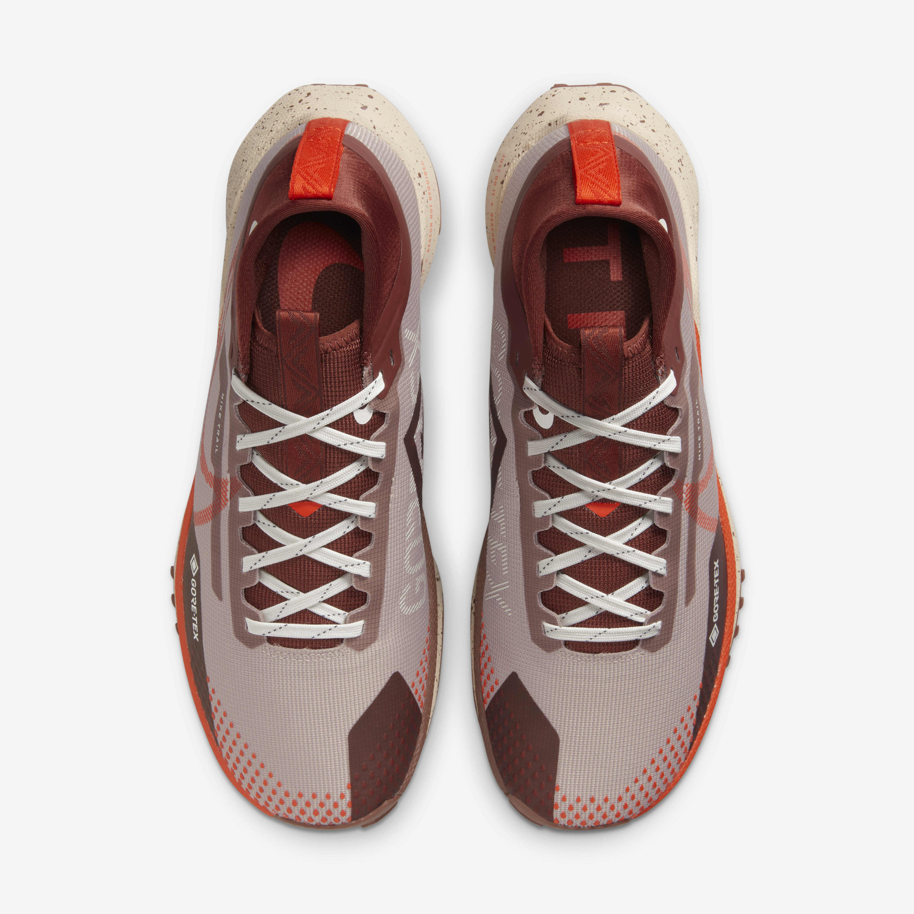 Nike Pegasus Trail 4 GORE-TEX image number 3