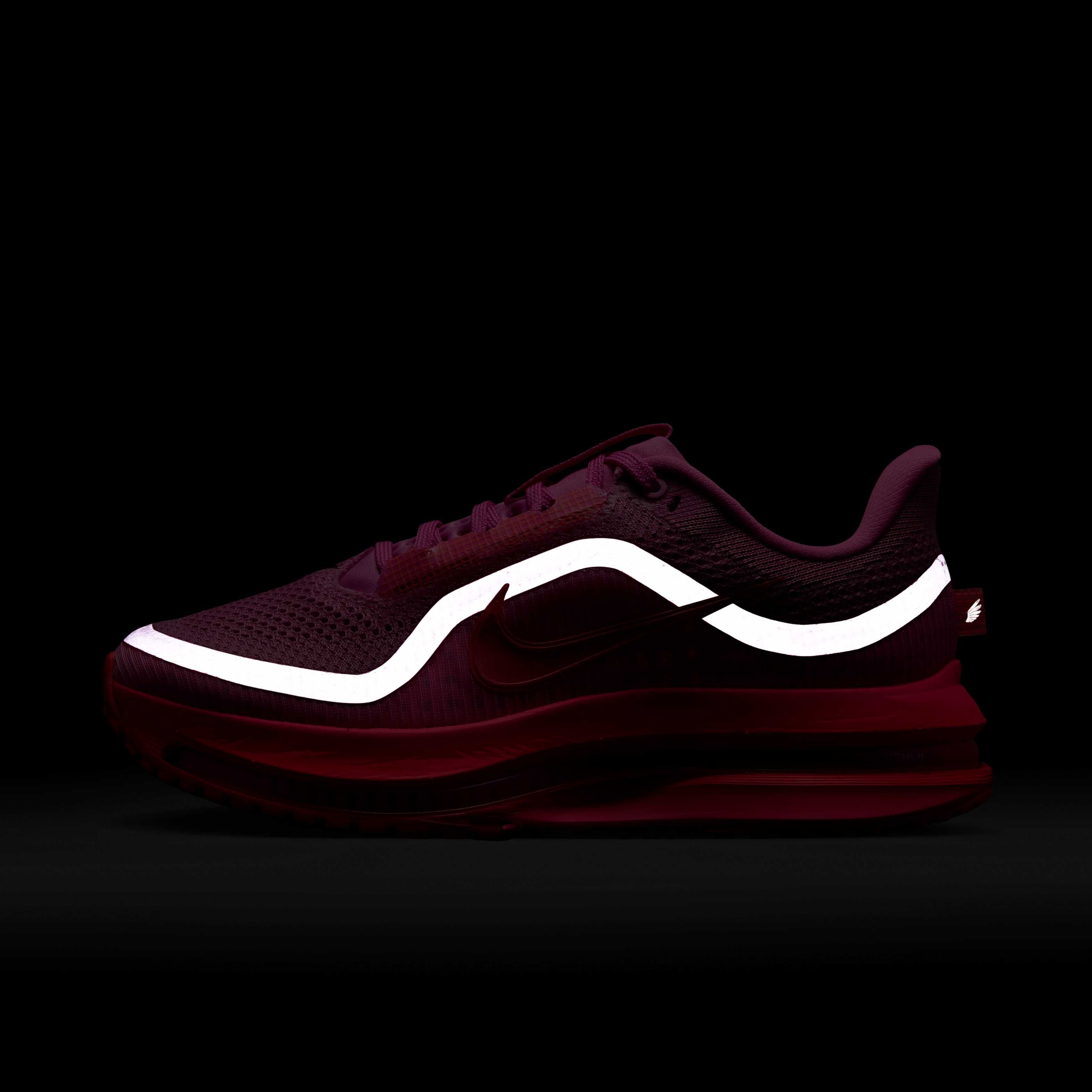 نايكي بيجاسوس بريميوم image number 10