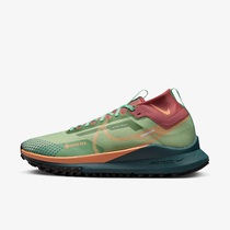 Nike Pegasus Trail 4 GORE-TEX