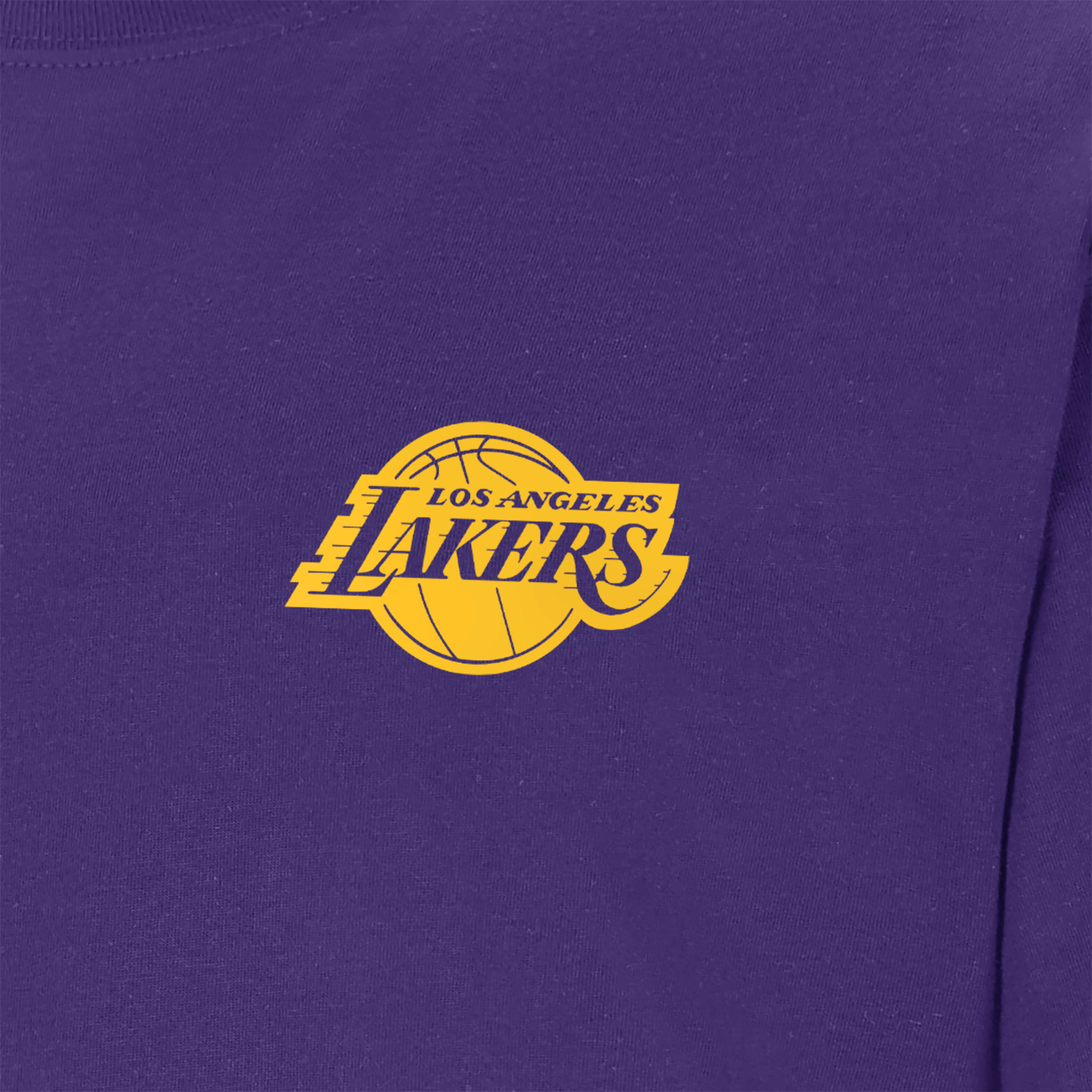 Los Angeles Lakers image number 2