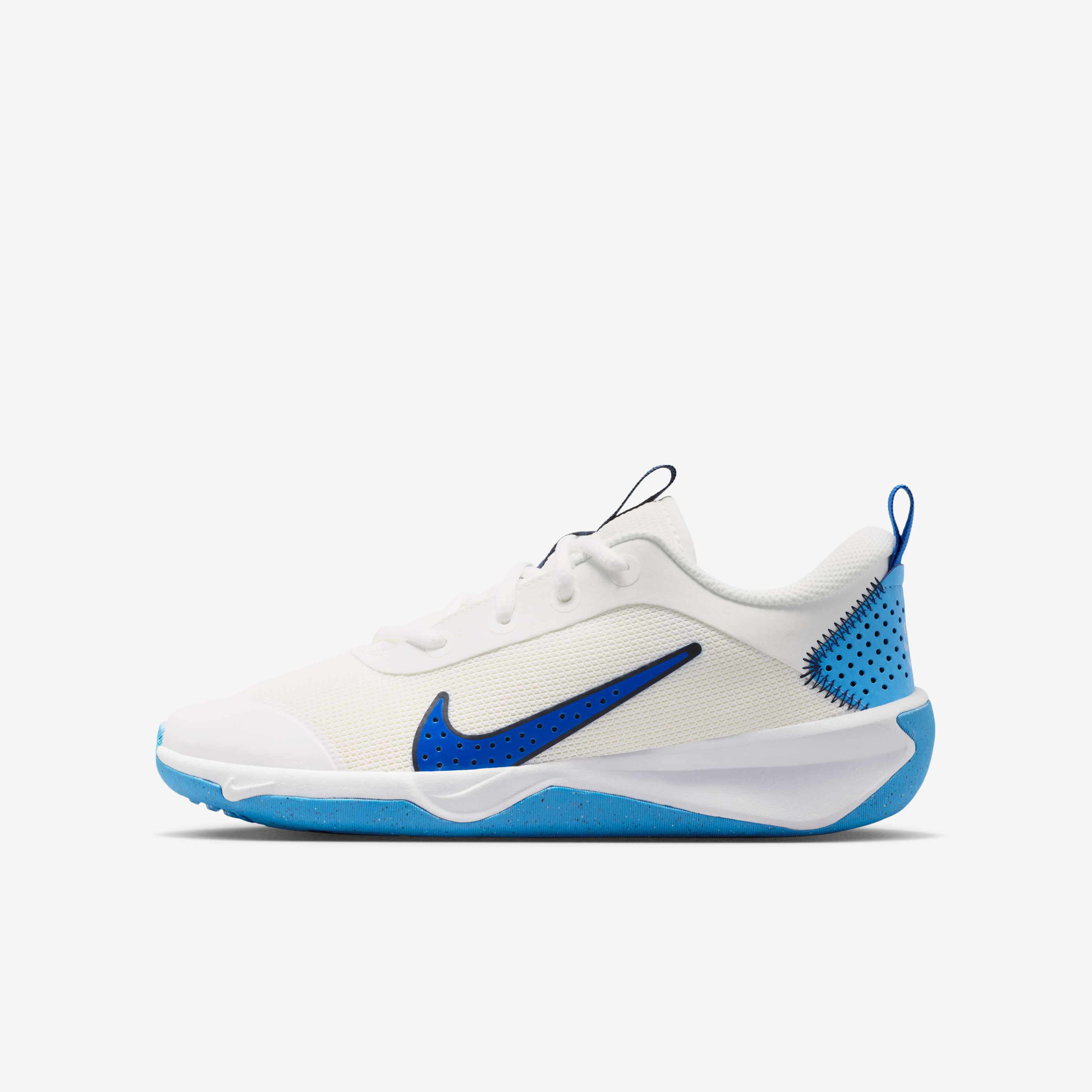 Nike Omni Multi-Court image number 0