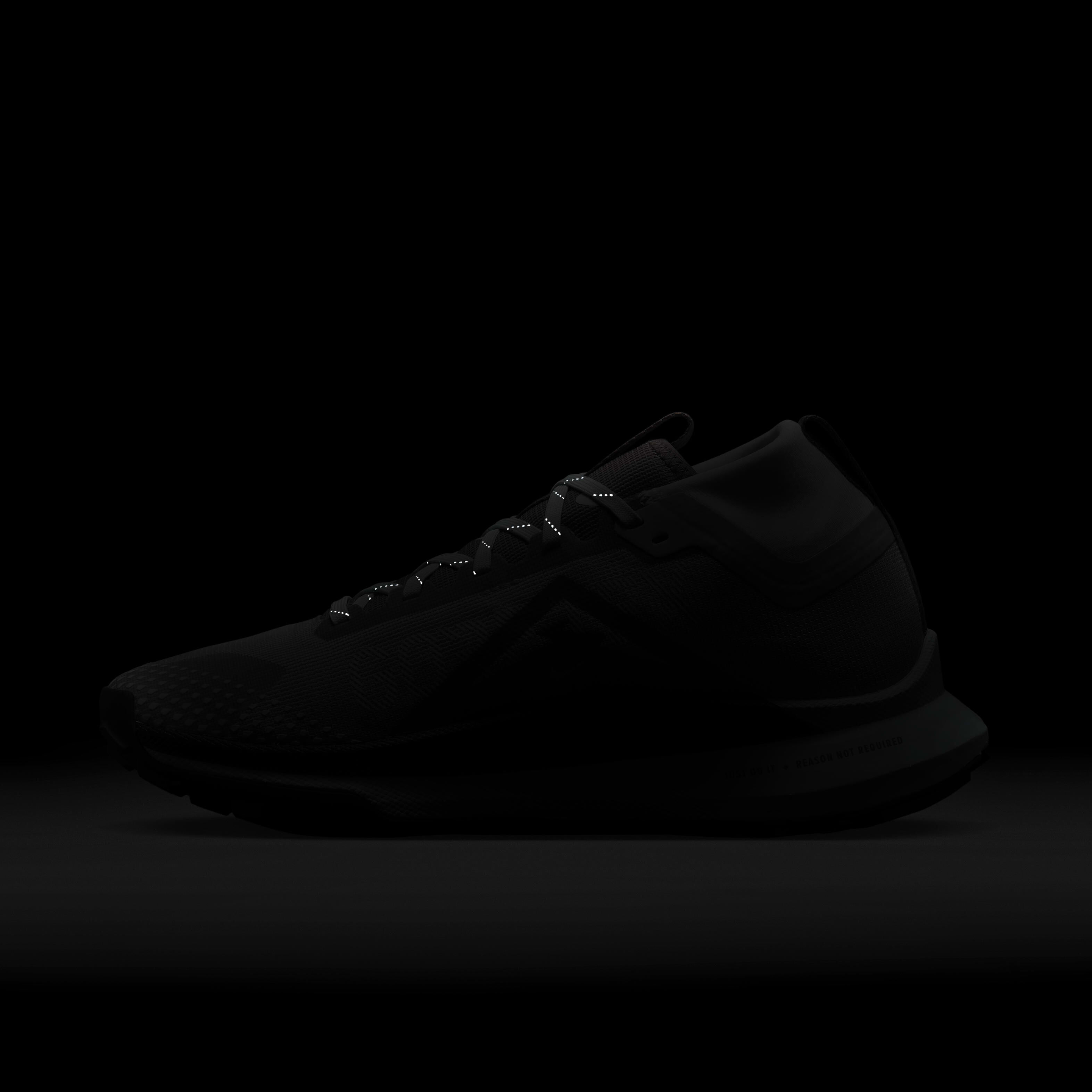 نايكي رياكت بيجاسوس تريل 4 جور-تيكس image number 10