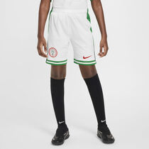 Nigeria 2024 Stadium Home