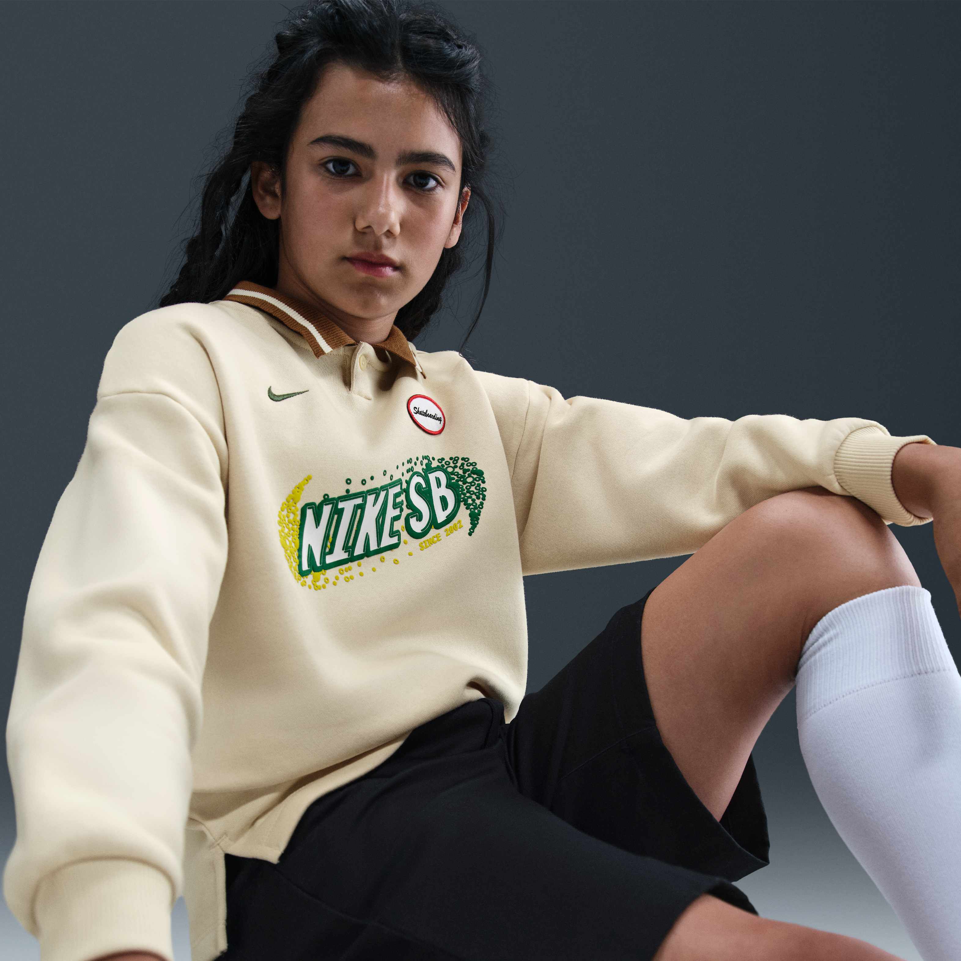 نايكي SB image number 1