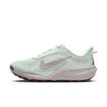 Nike ACG Pegasus Trail