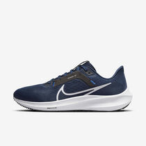 Nike Pegasus 40