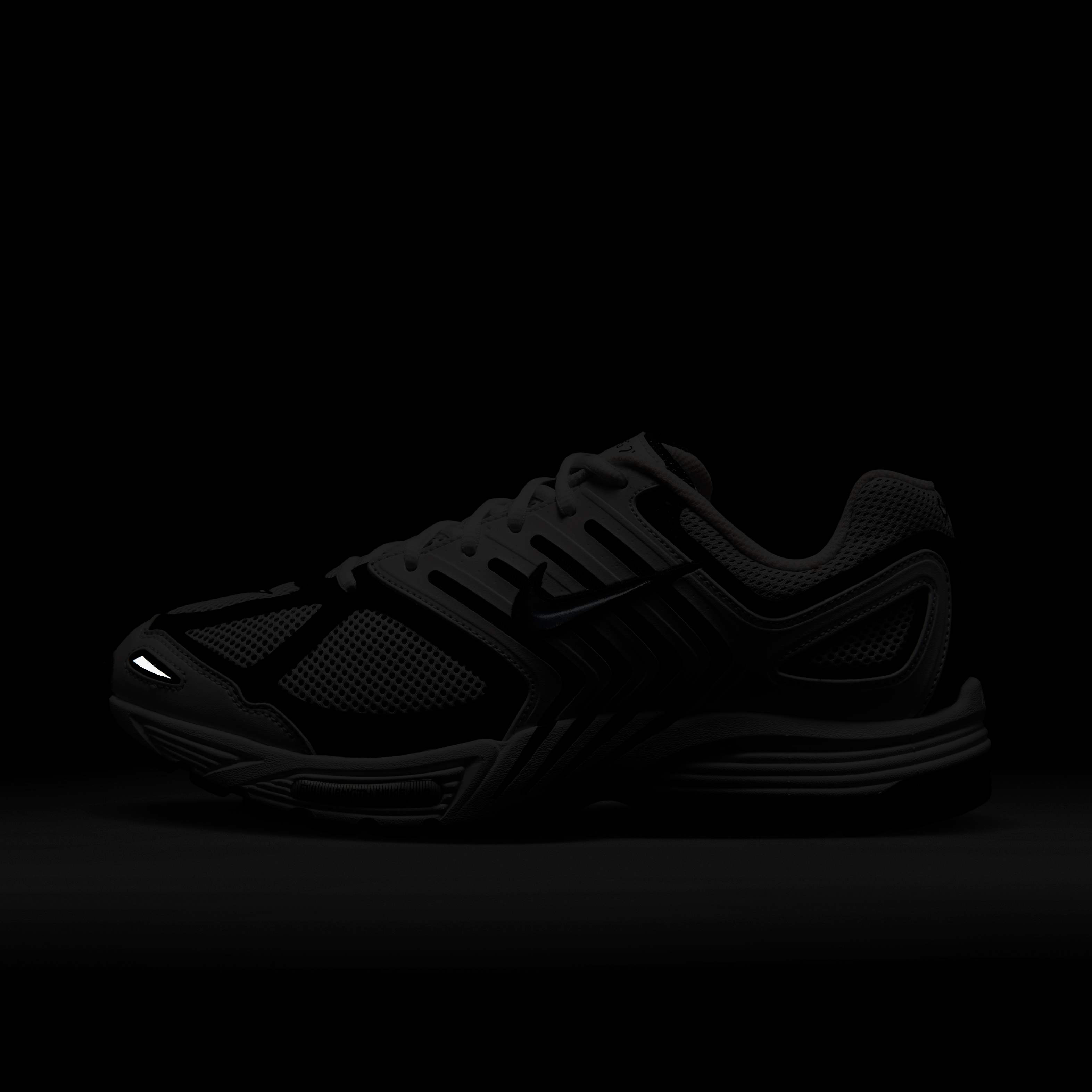 نايكي اير بيجاسوس 2005 image number 9