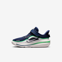 Nike Winflo 12