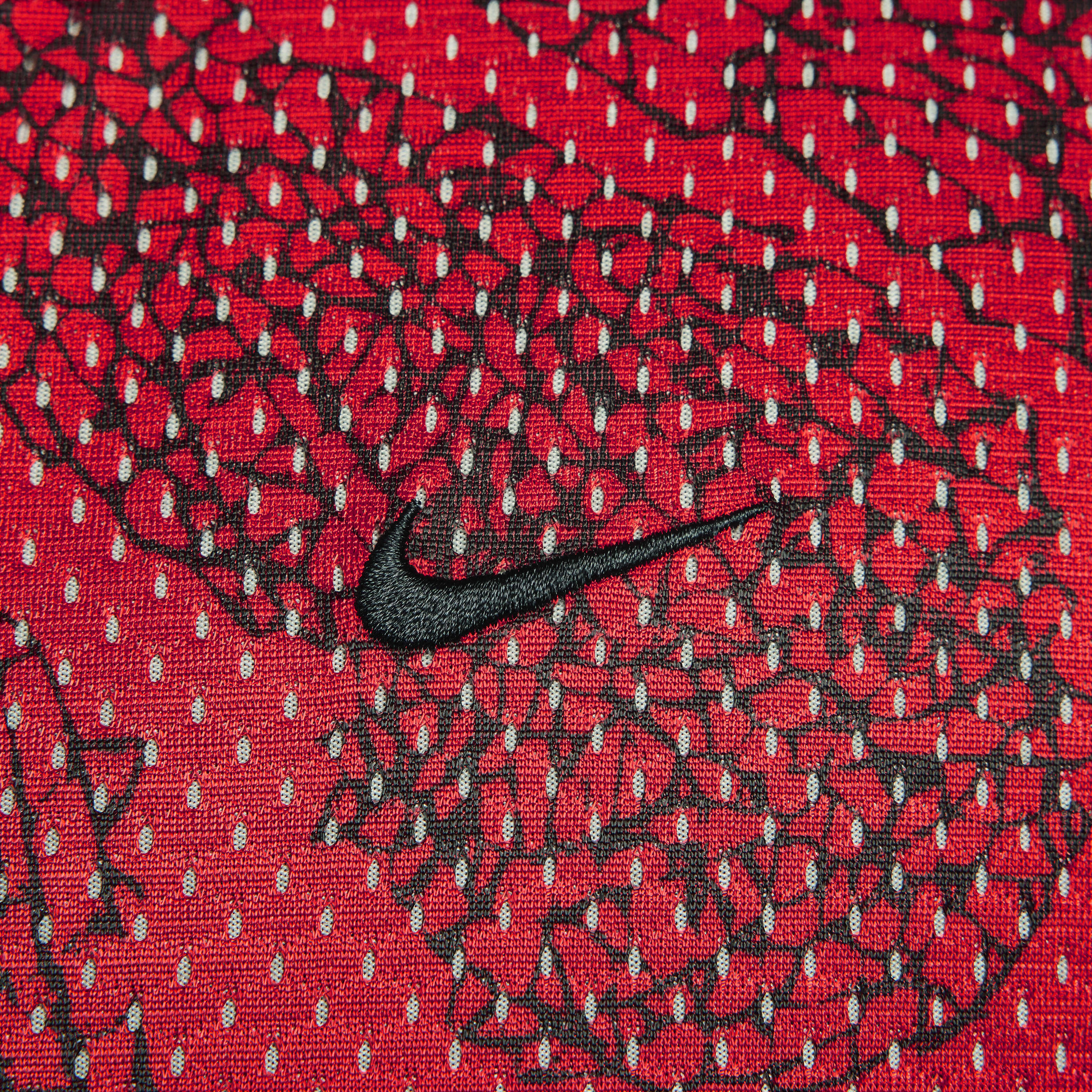 Nike Dri-FIT Standard Issue image number 12