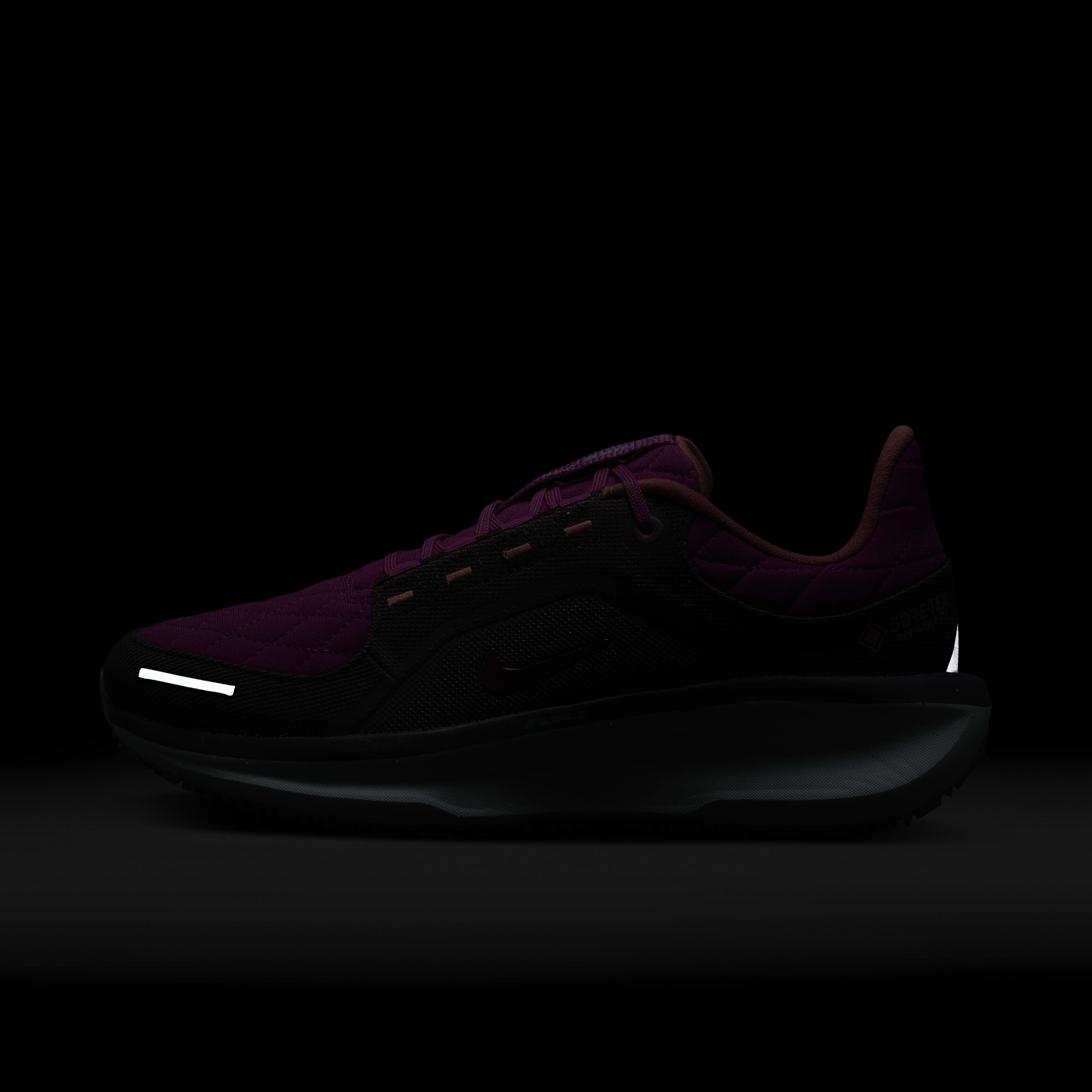 Nike Winflo 11 GORE-TEX SE image number 10