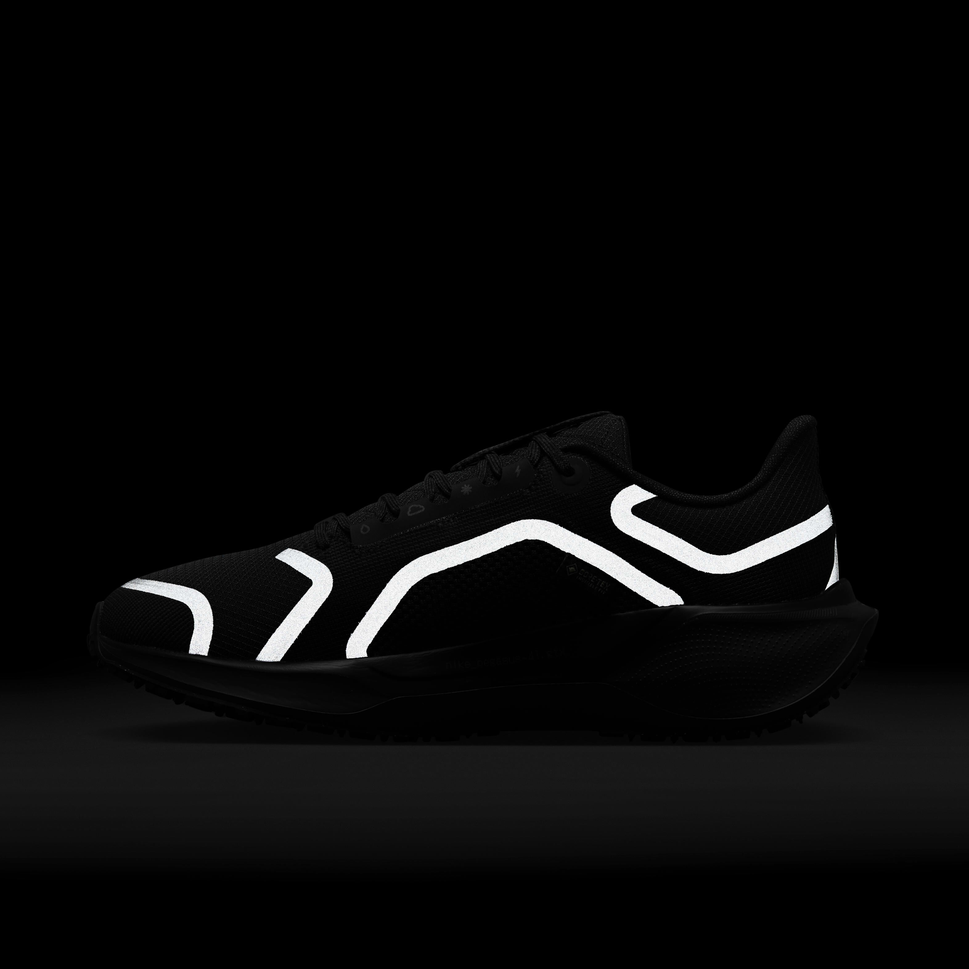 Nike Pegasus 41 GORE-TEX image number 11