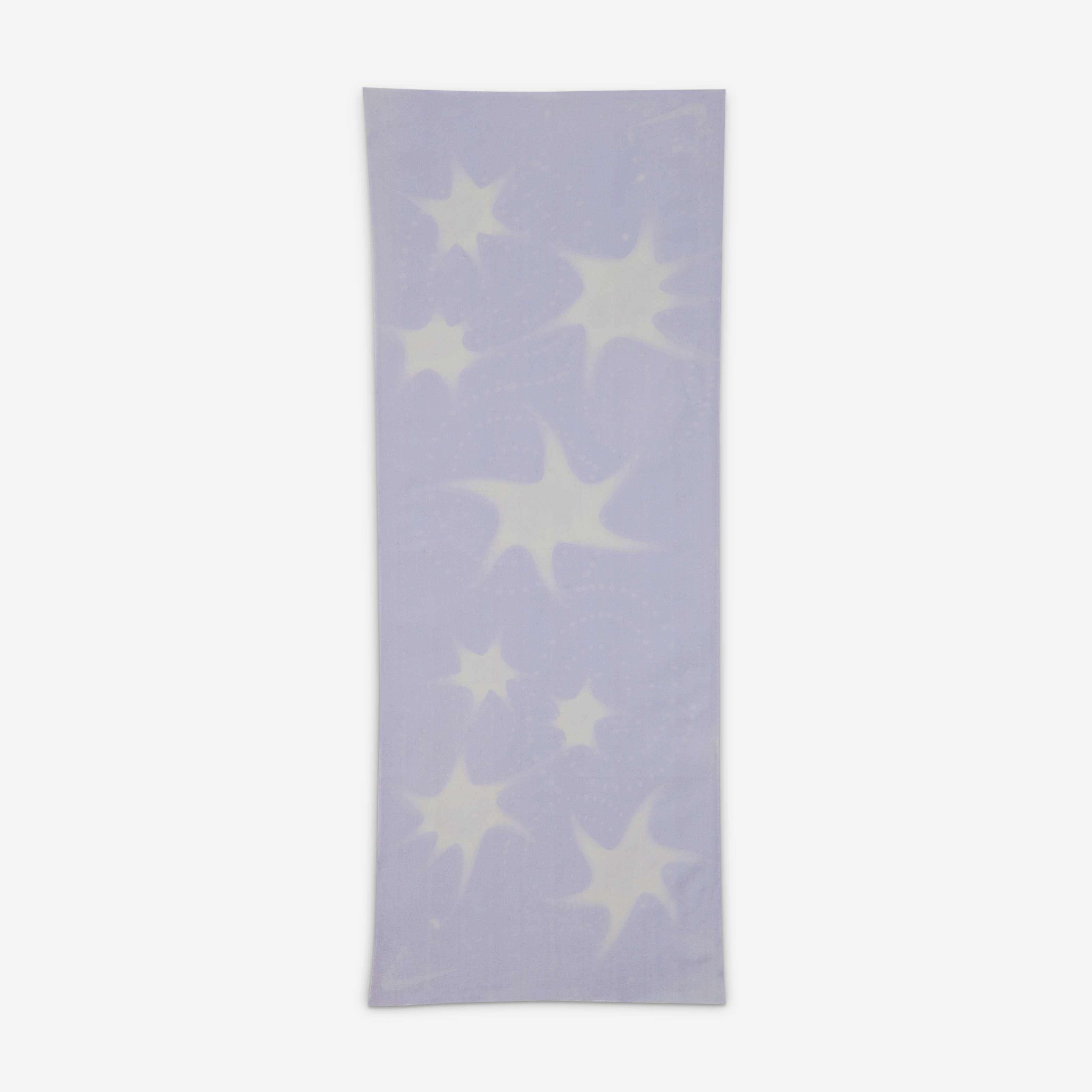 Zoom Fly 6 image number 9