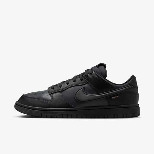 Men's Lifestyle Shoes-Nike, Nike Dunk Low GORE-TEX, Men's Shoes Men's Lifestyle Shoes-Nike, Nike Dunk Low GORE-TEX, Men's Shoes