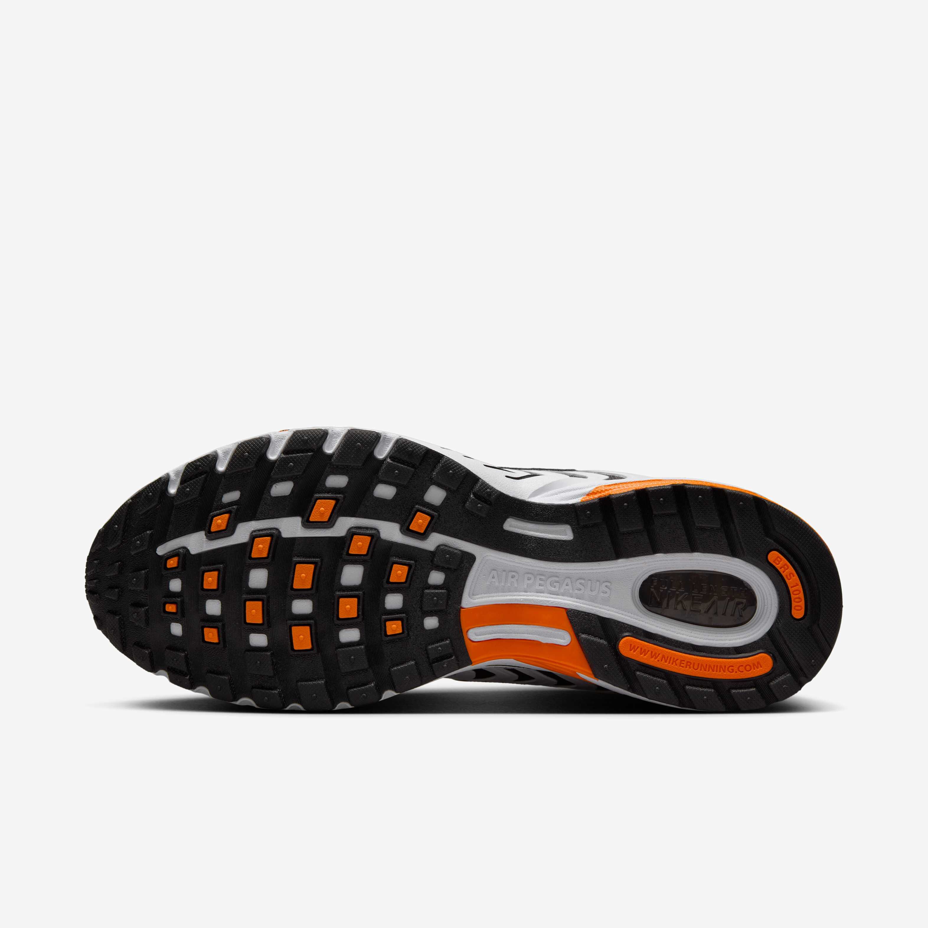 نايكي اير بيجاسوس 2005 image number 1