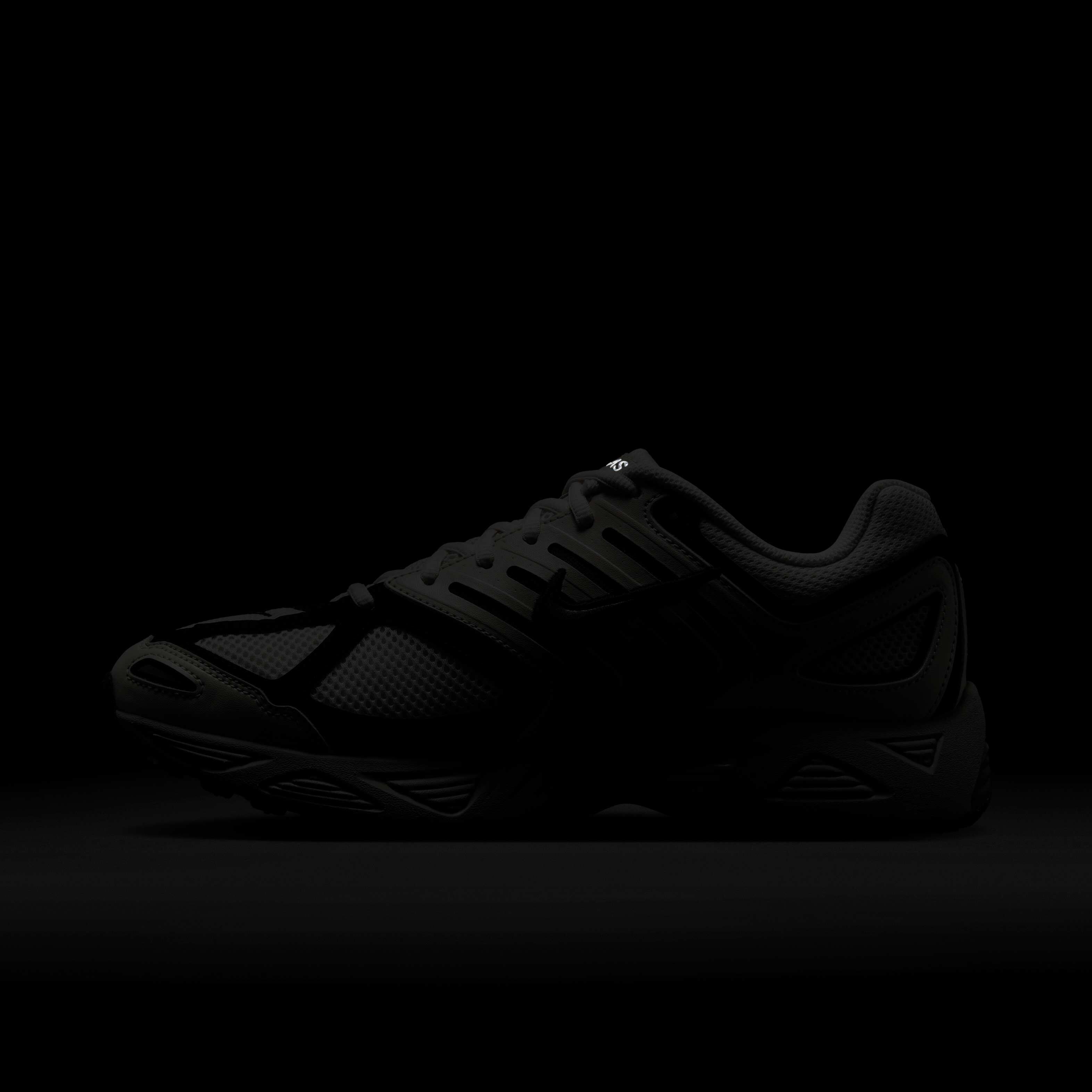 Nike Air Pegasus 2005 image number 10