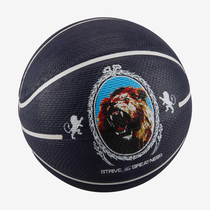 ليبرون بليجراوند 8P