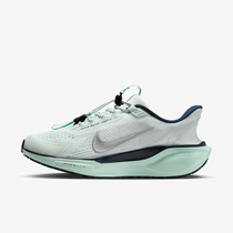 Nike Pegasus EasyOn