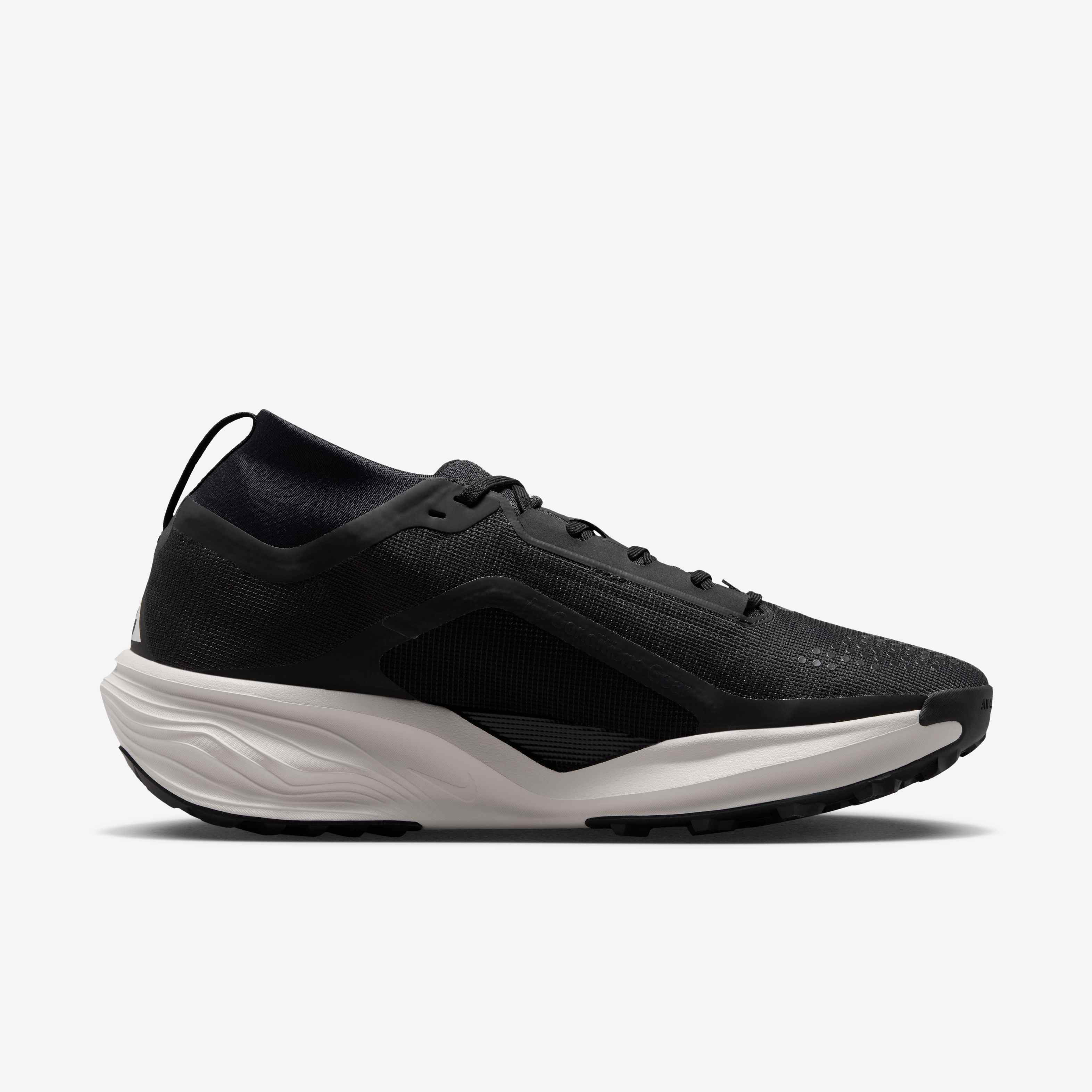 ACG بيجاسوس تريل GORE-TEX image number 2