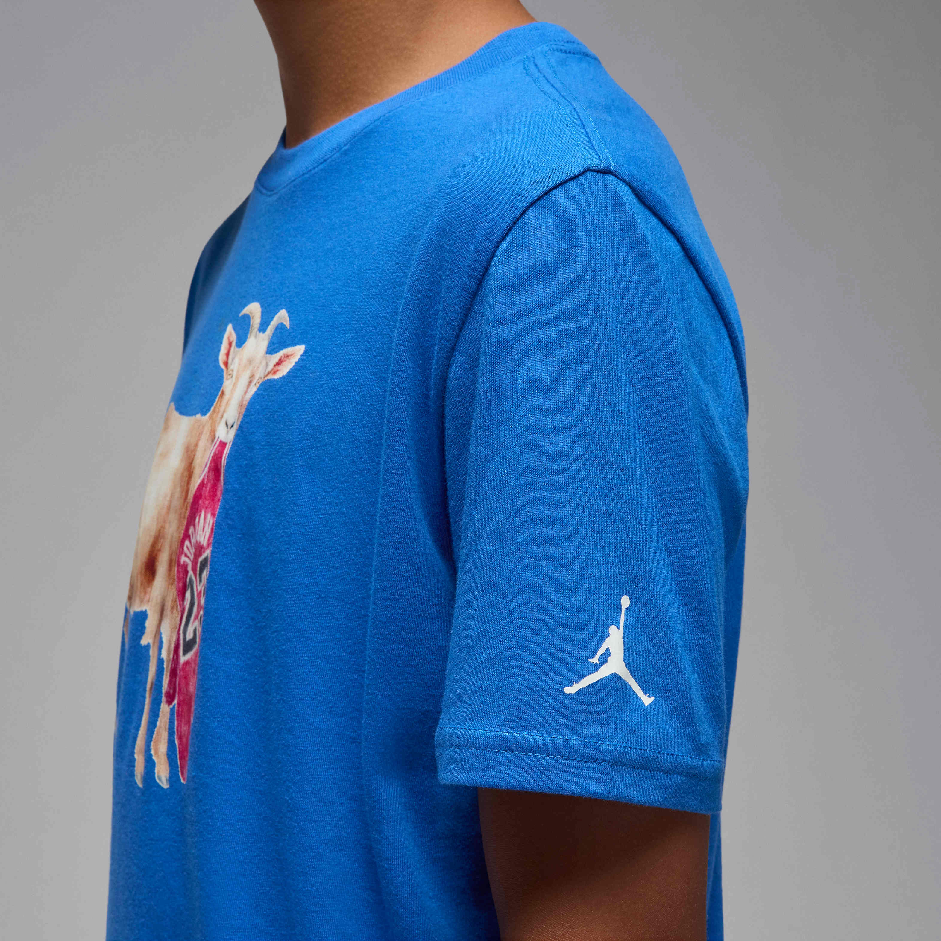 Jordan image number 4