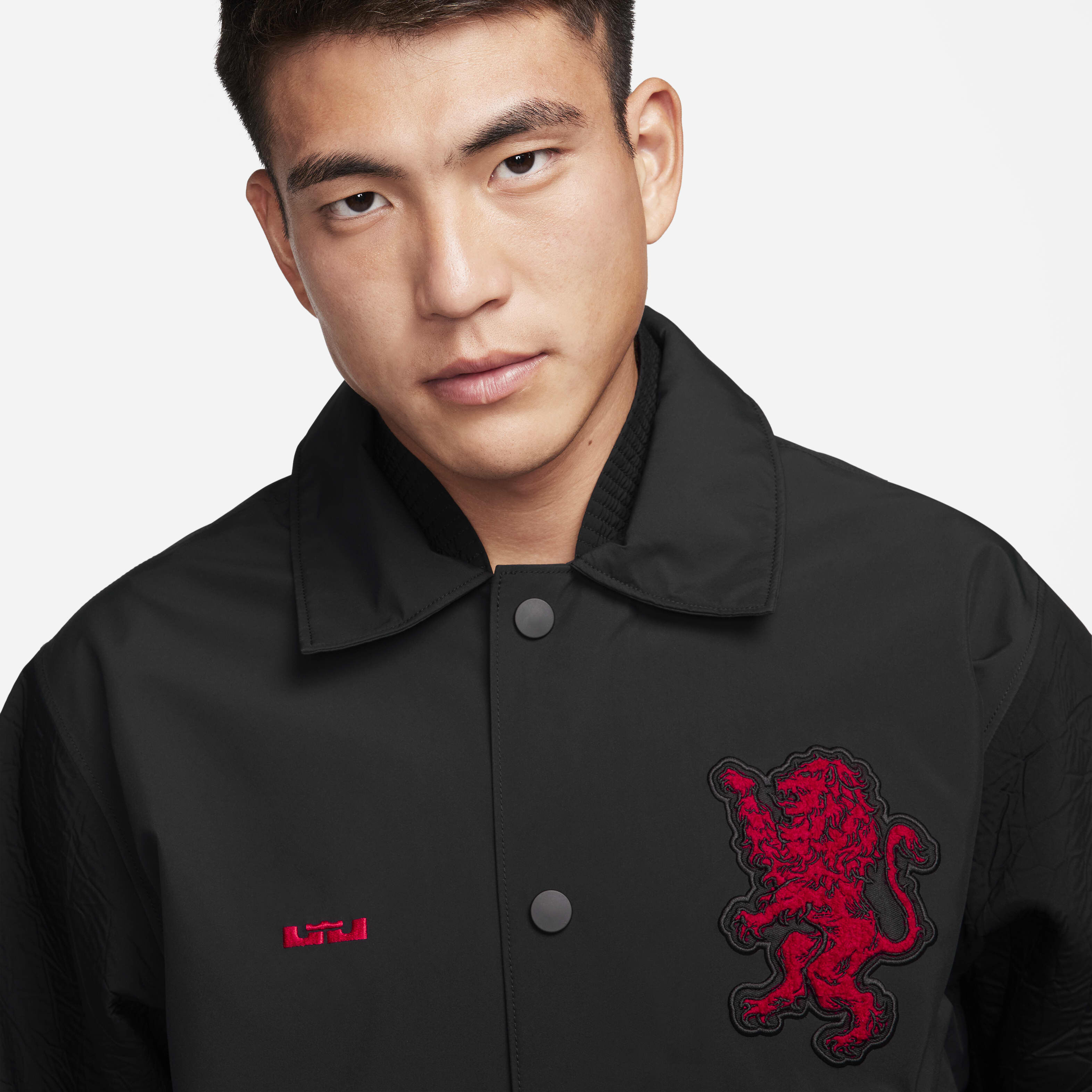 LeBron image number 2