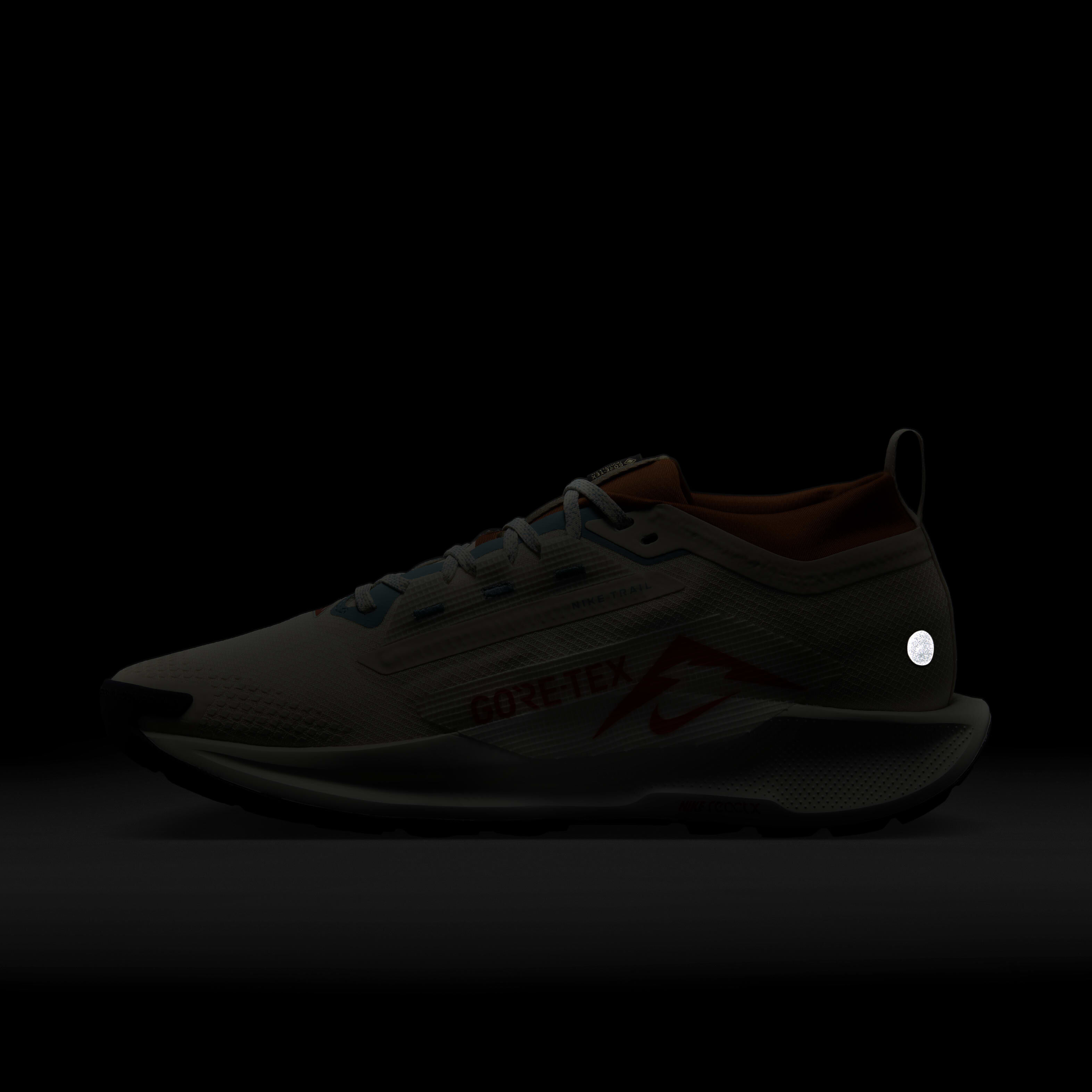 Nike Pegasus Trail 5 GORE-TEX image number 10