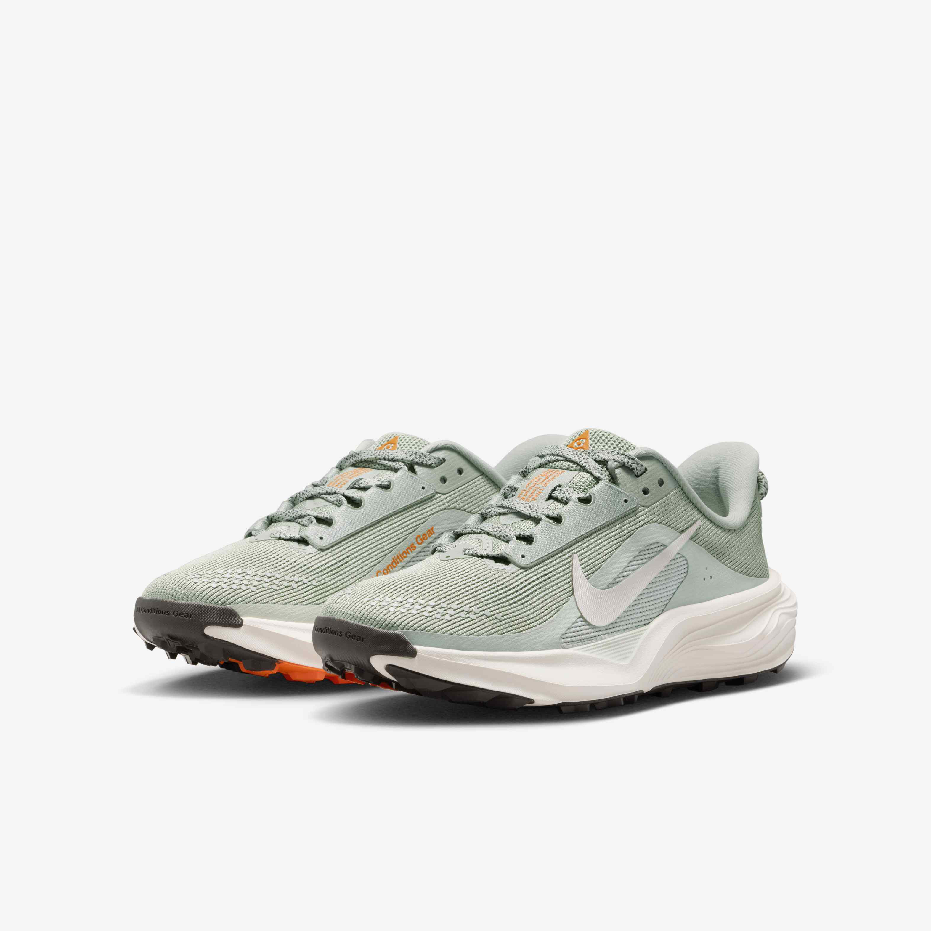 Nike ACG Pegasus Trail image number 4