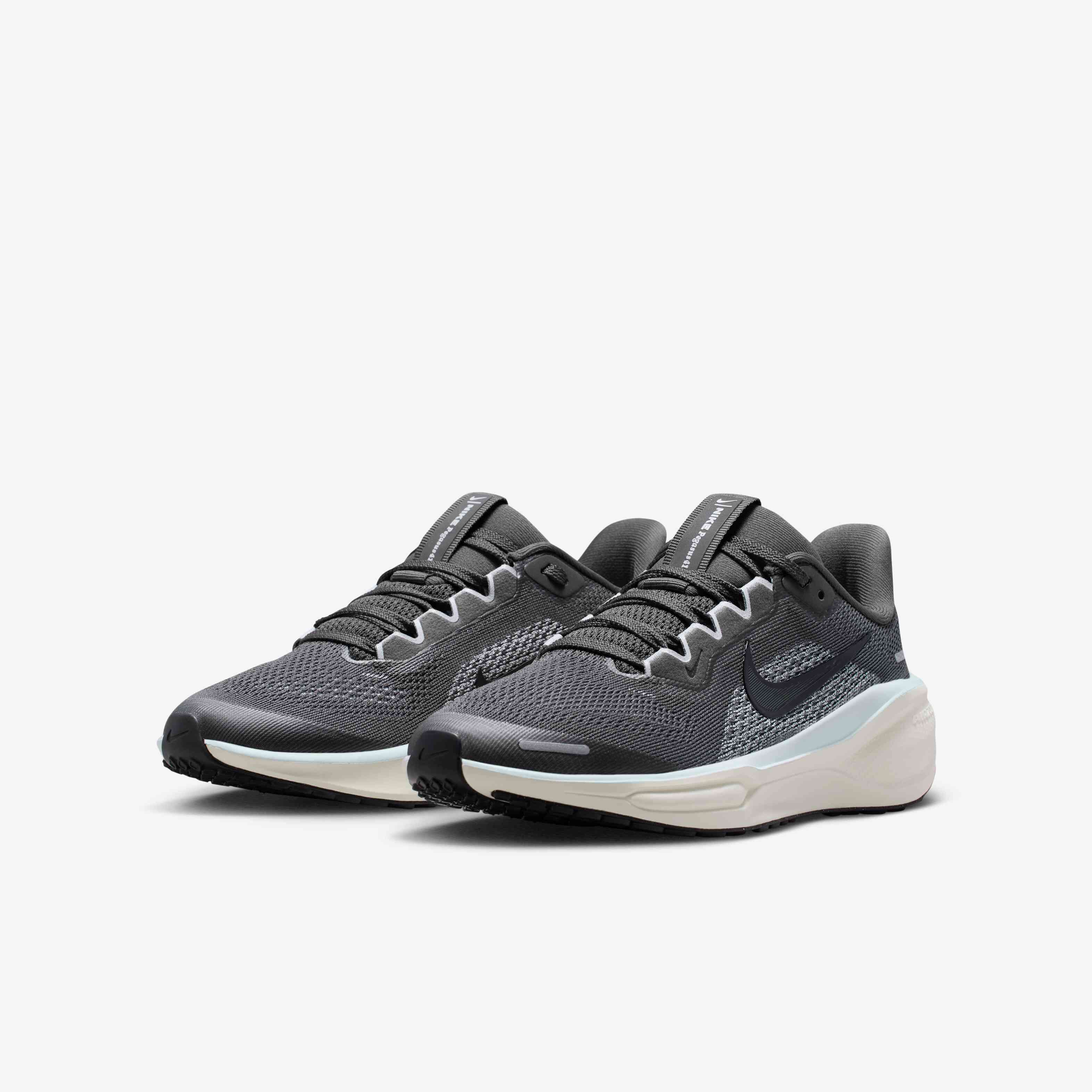 نايكي بيجاسوس 41 image number 4