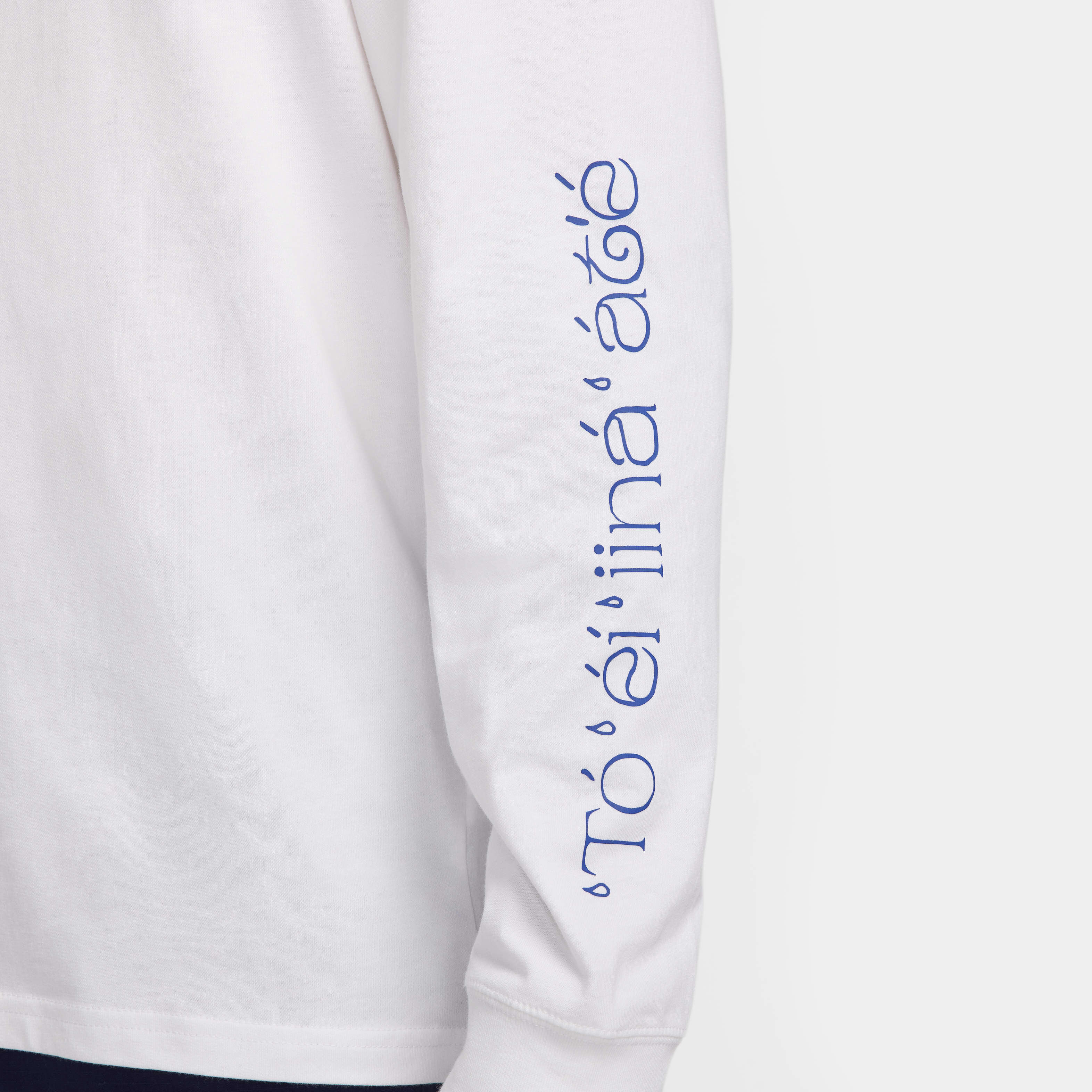 Buy Nike SB x Di'Orr Greenwood Long-Sleeve Max90 Skate T-Shirt - White |  Nike Kuwait Official