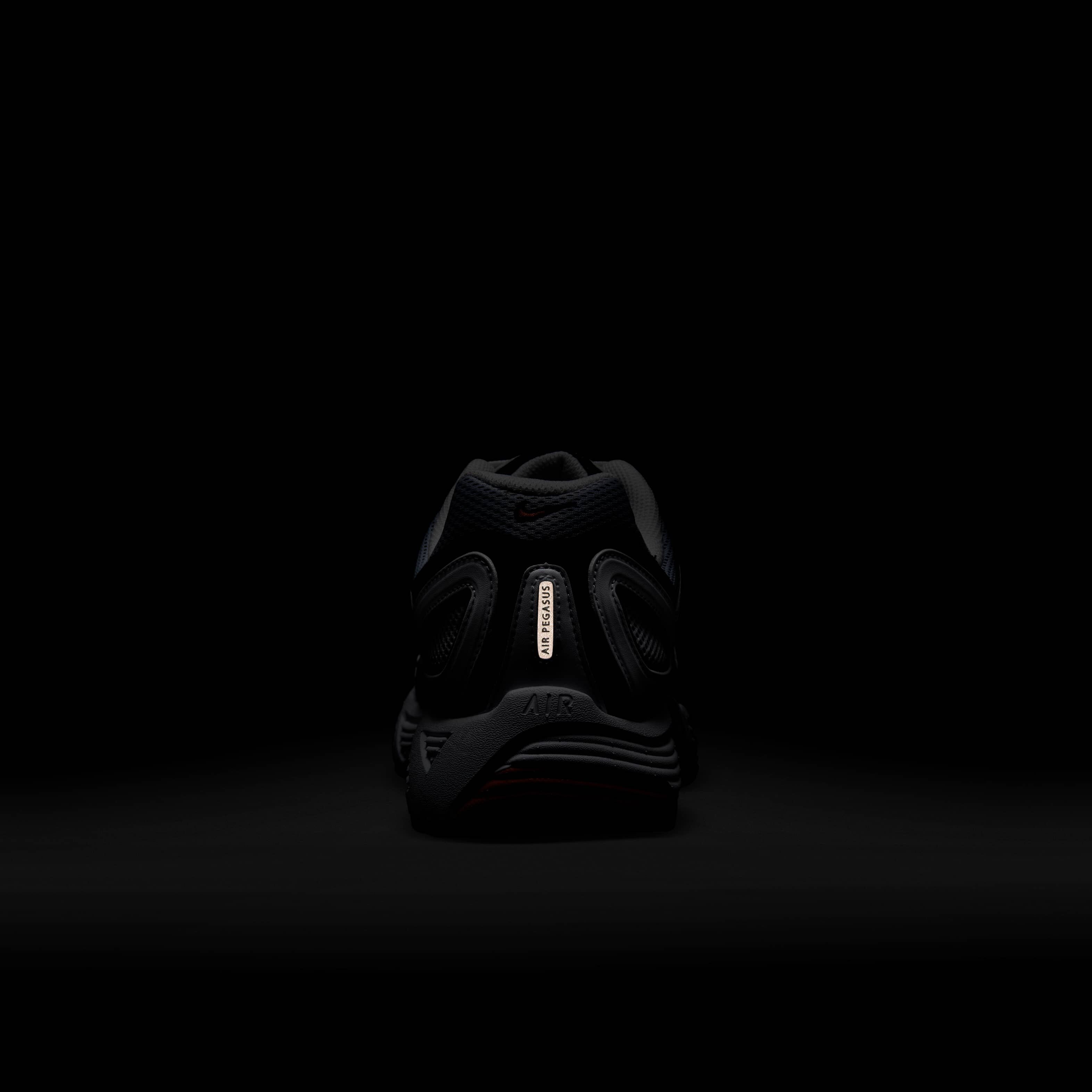 نايكي اير بيجاسوس 2005 image number 9