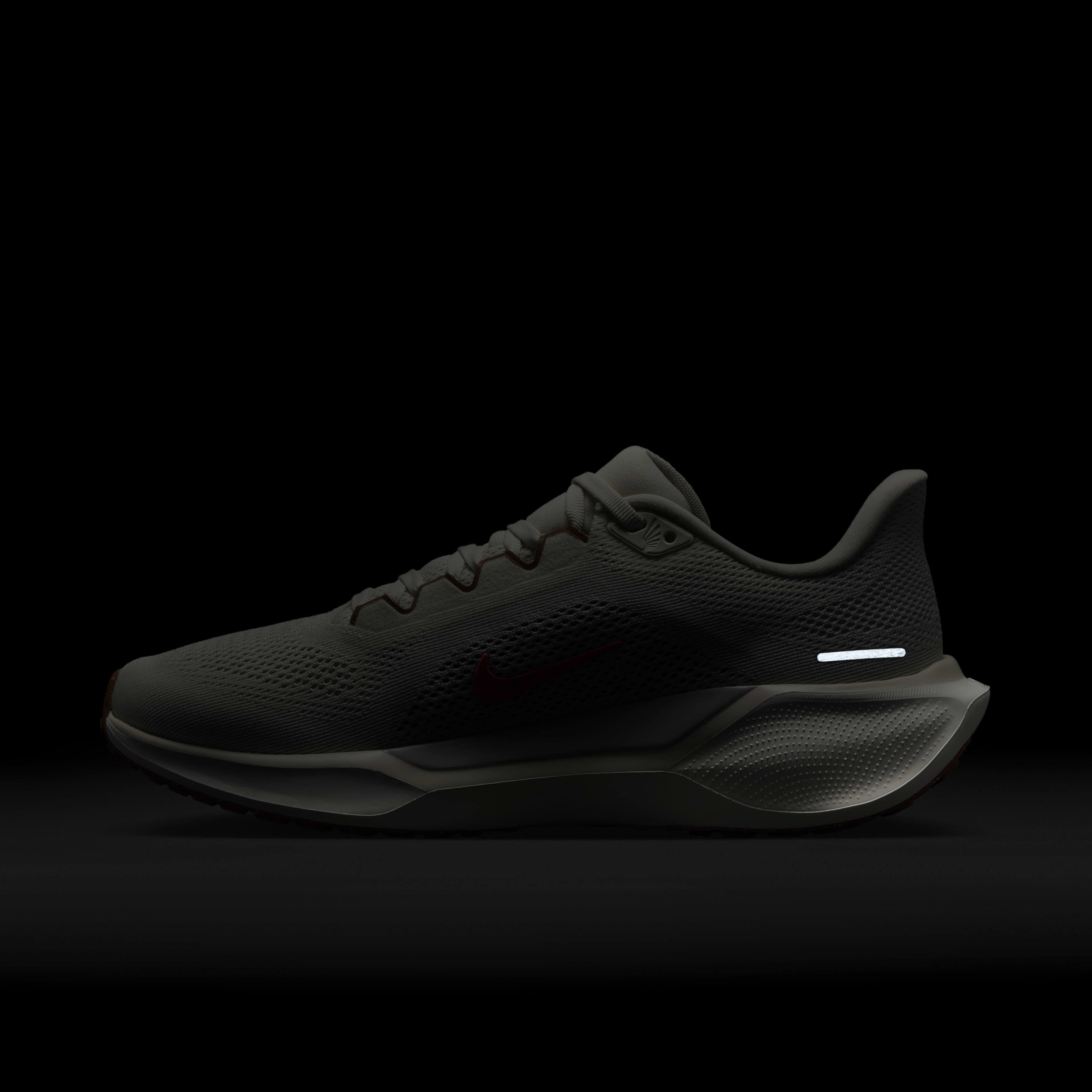 Nike pegasus 10 best sale