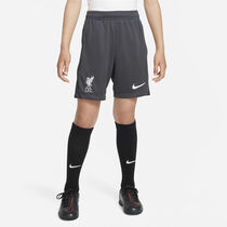 Liverpool F.C. Academy Pro