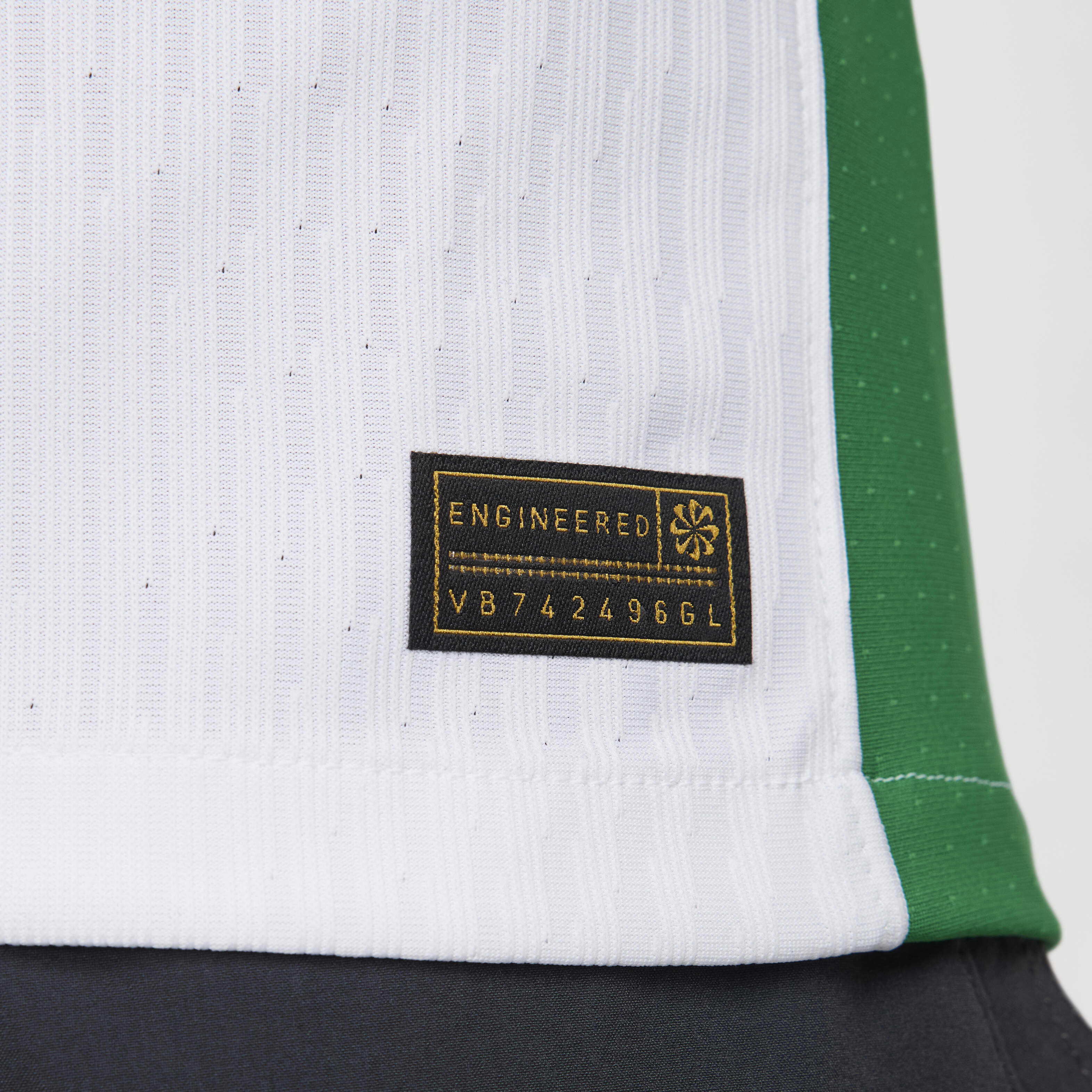 Nigeria 2024 Match Home image number 5