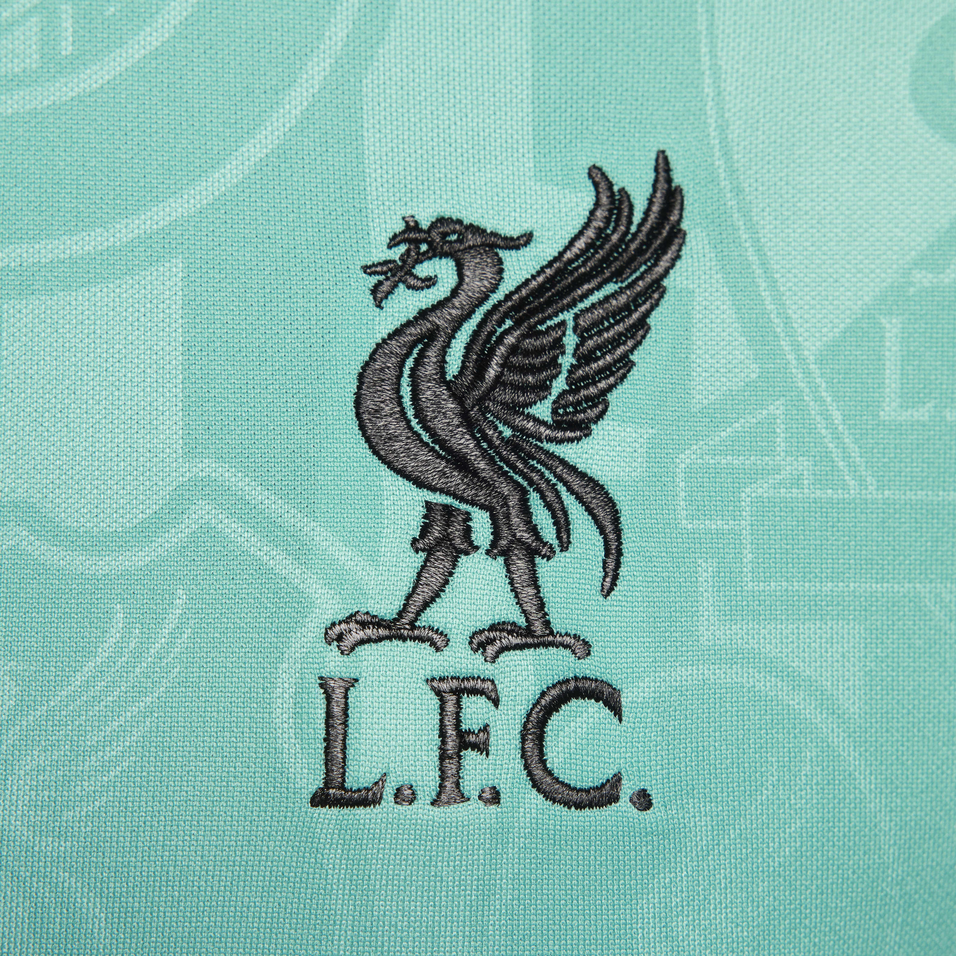 Liverpool F.C. Academy Pro image number 3