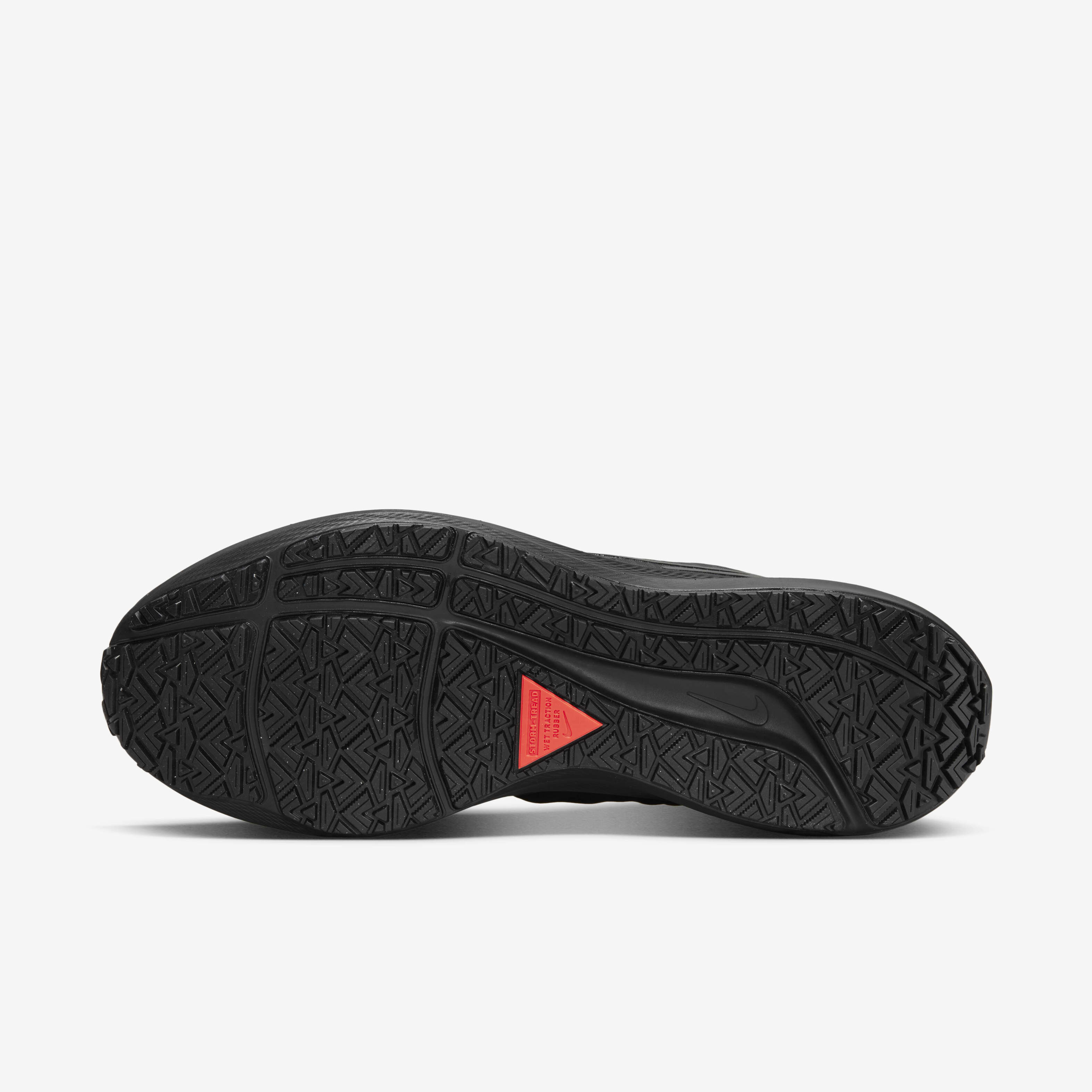 Nike Pegasus 39 Shield image number 1