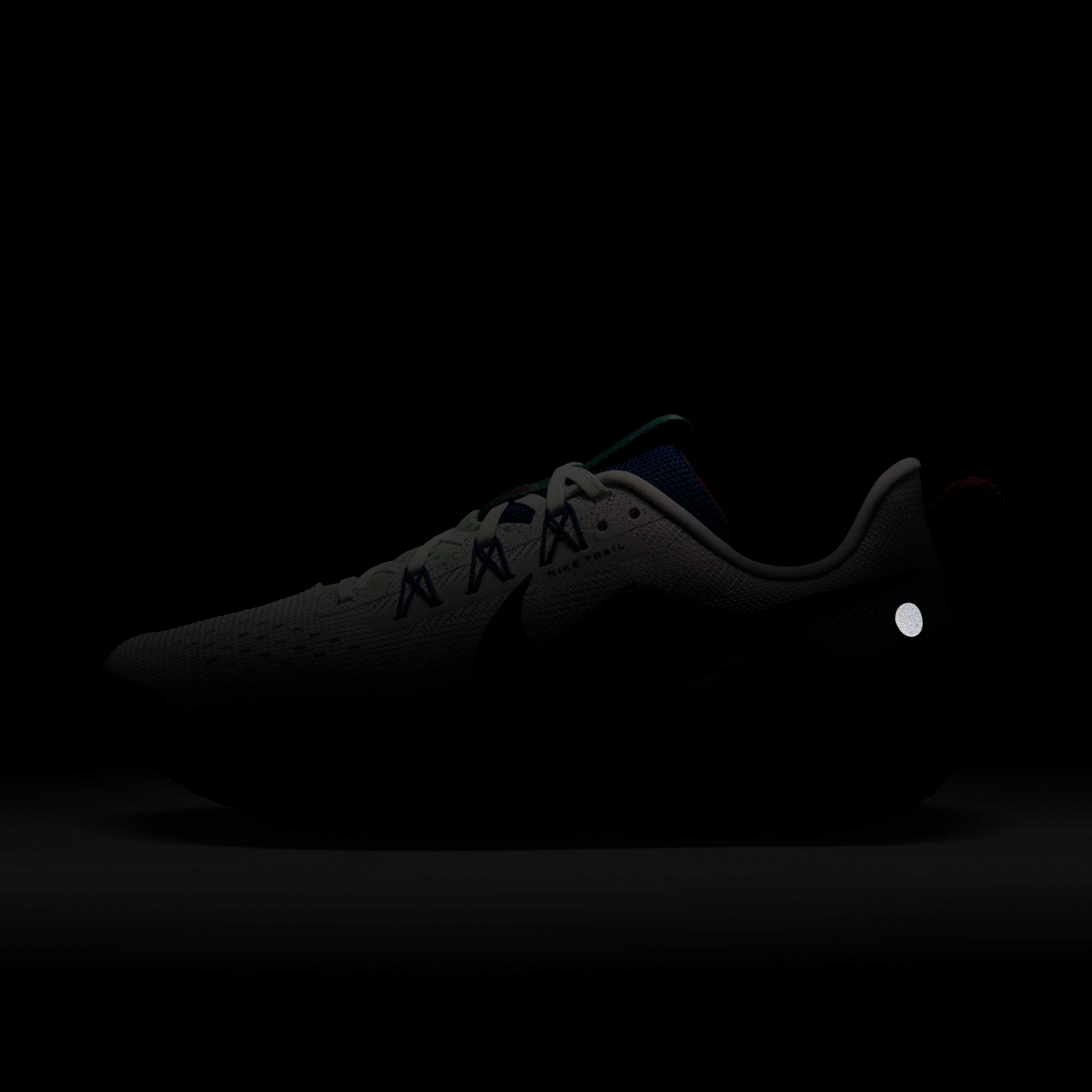 Nike Pegasus Trail 5 image number 10